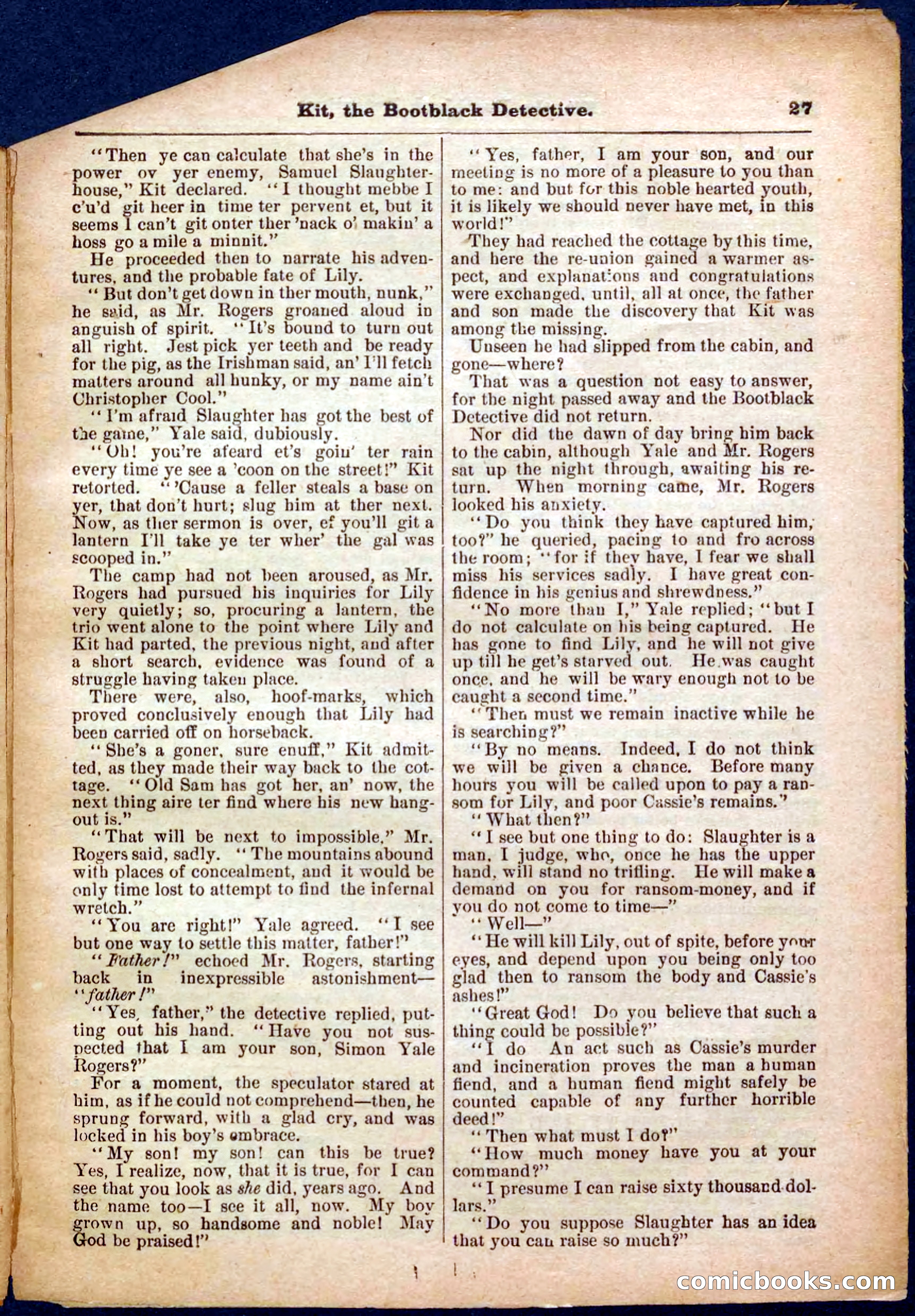 Beadle's Pocket Library No. 362 — page 27 of 32