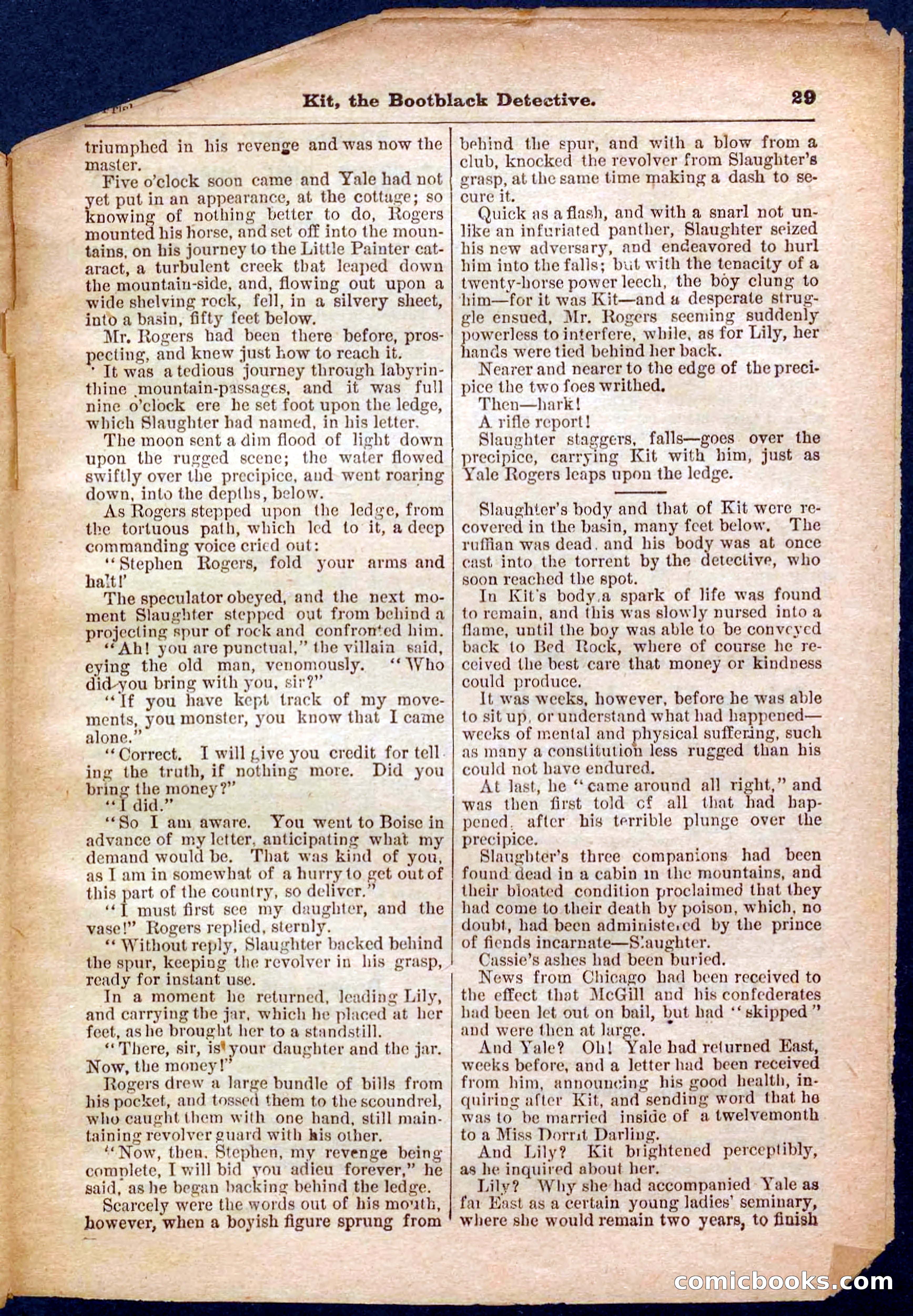 Beadle's Pocket Library No. 362 — page 29 of 32
