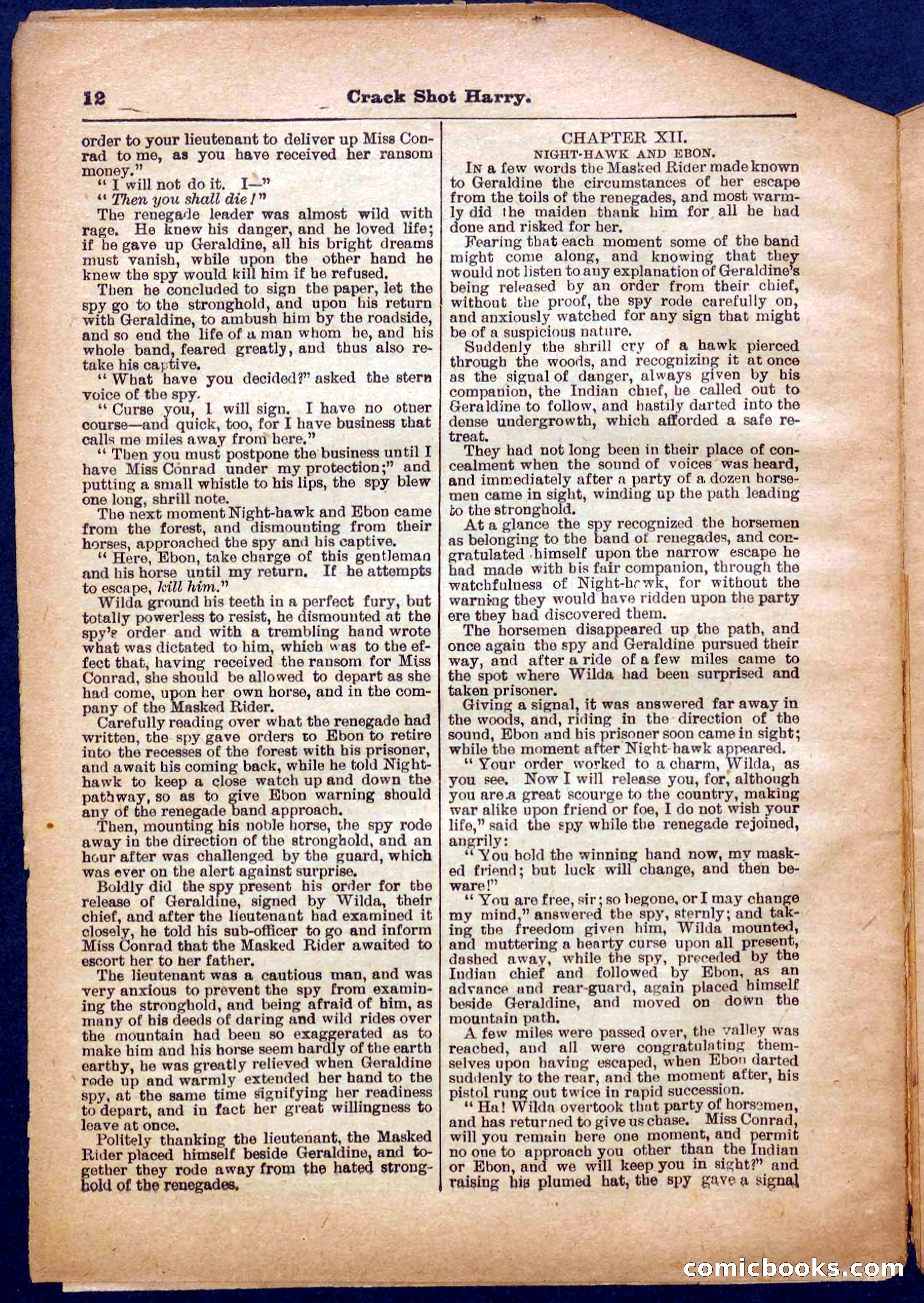 Beadle's Pocket Library No. 365 — page 12 of 32