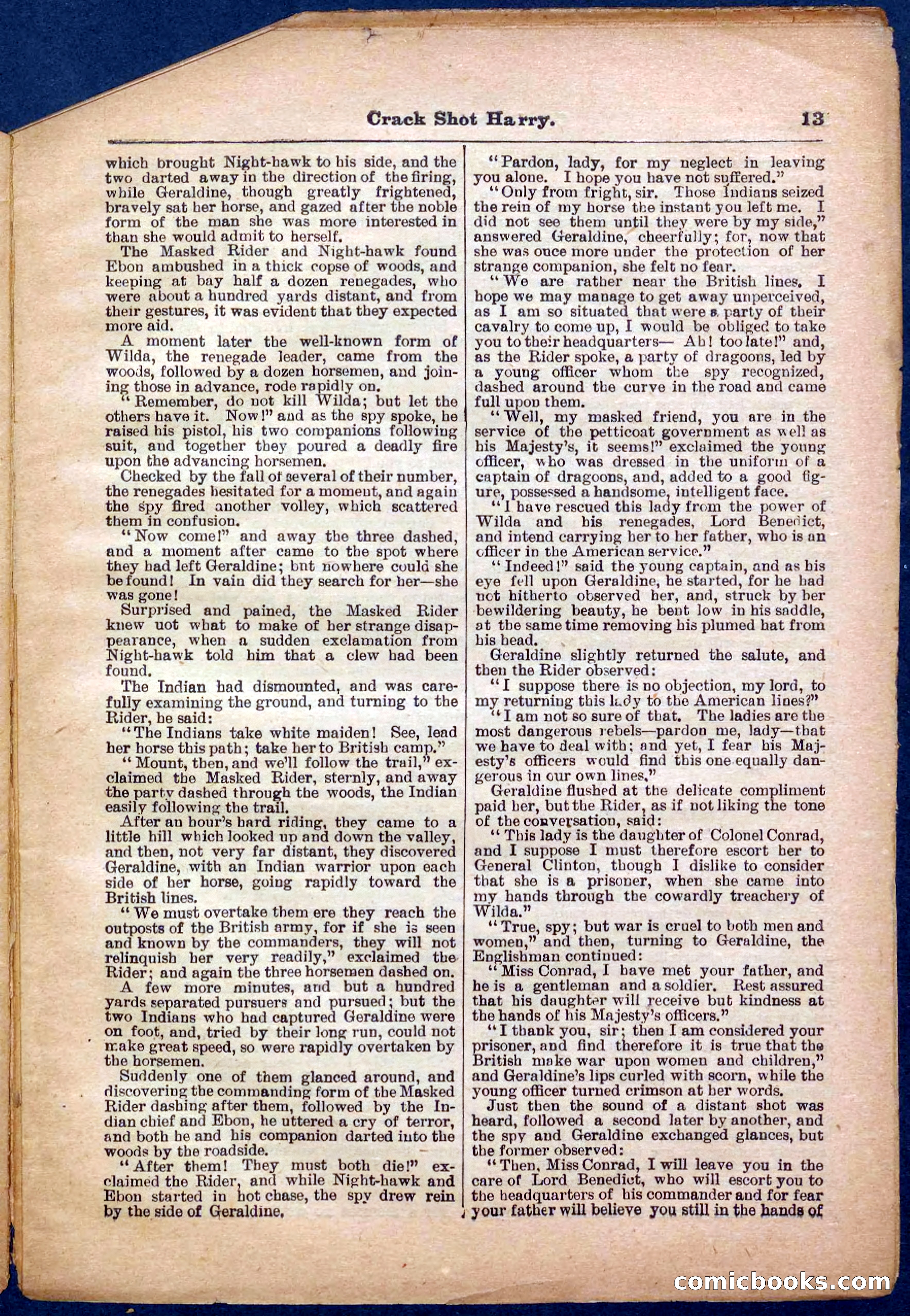Beadle's Pocket Library No. 365 — page 13 of 32