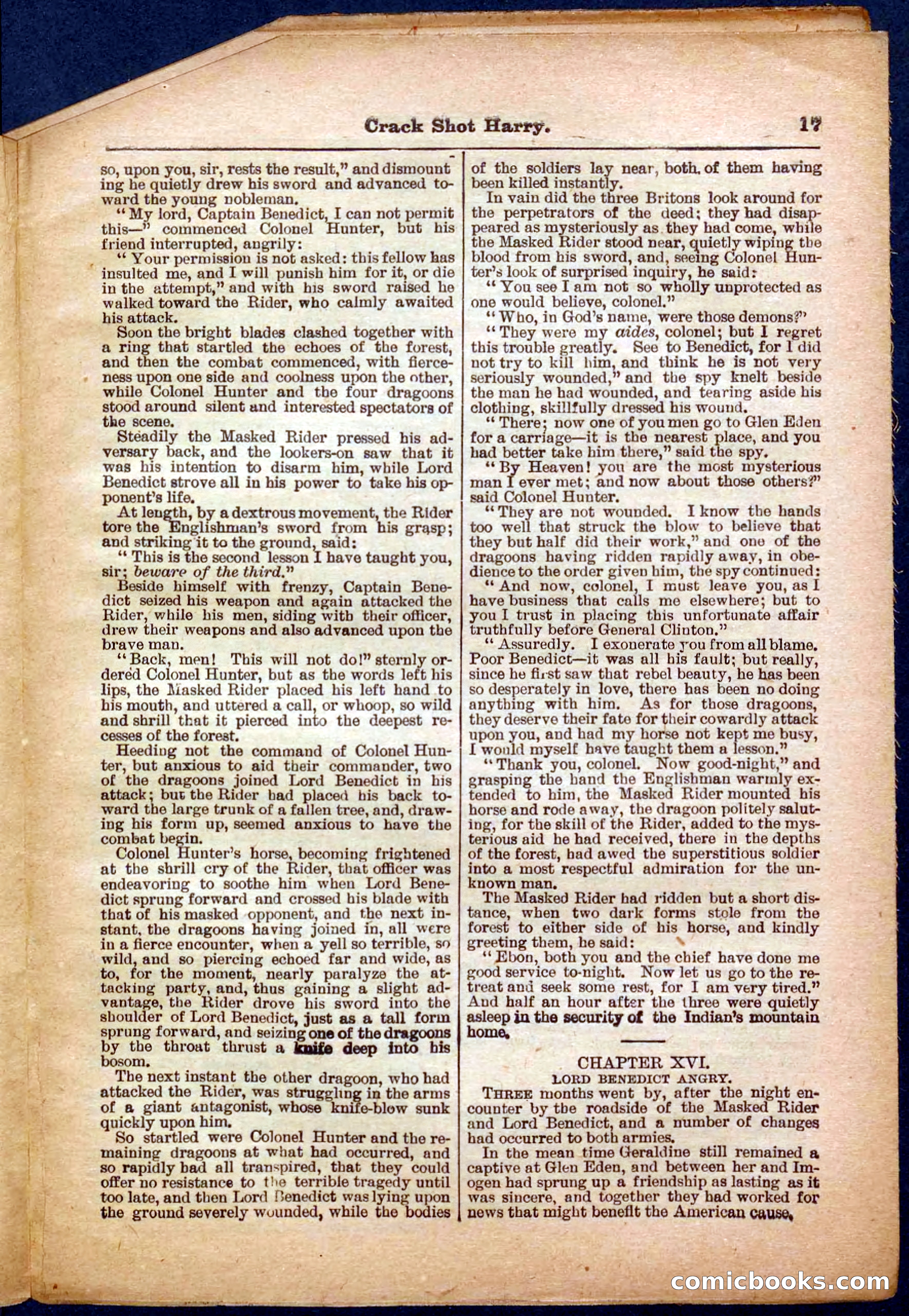 Beadle's Pocket Library No. 365 — page 17 of 32
