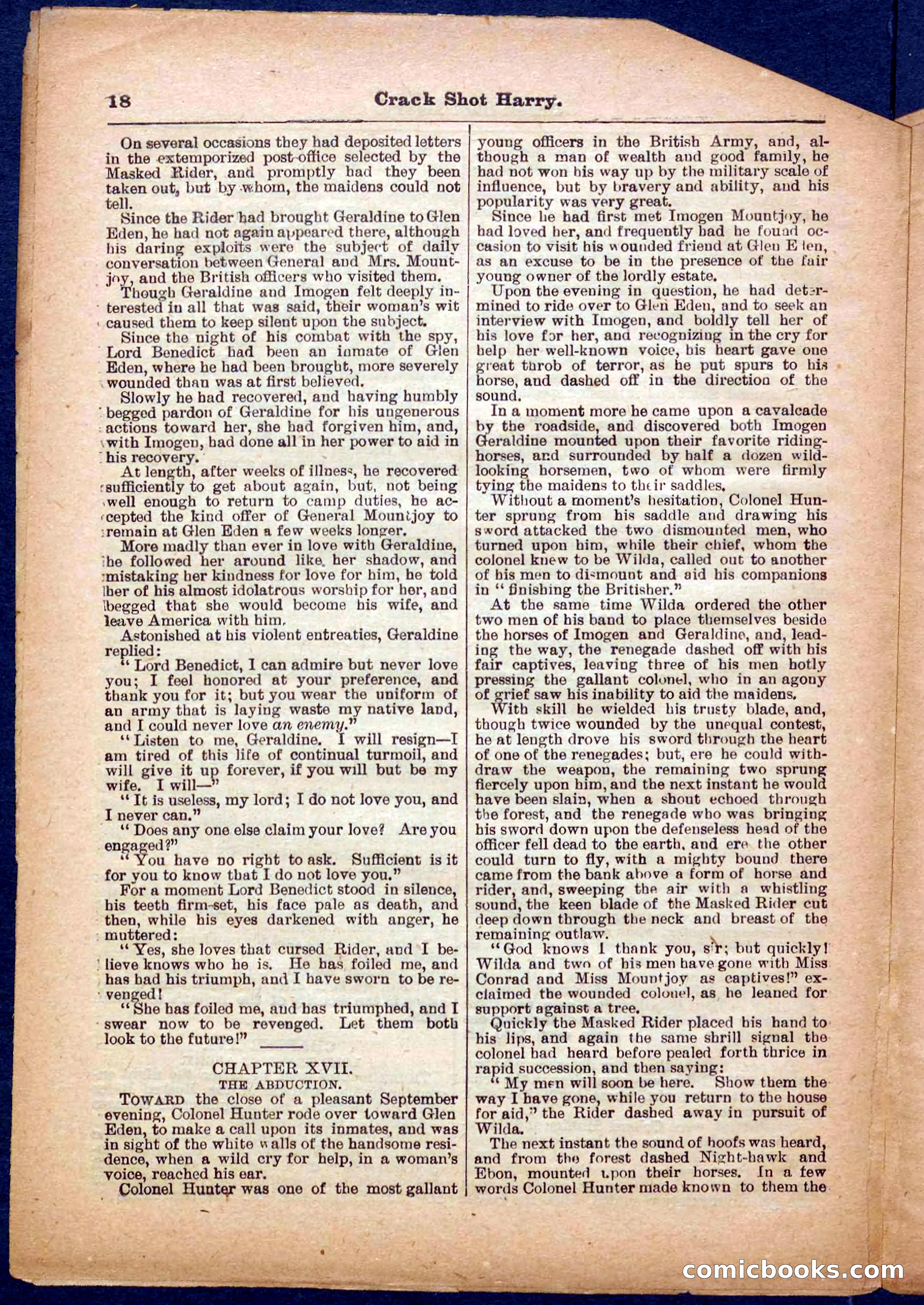 Beadle's Pocket Library No. 365 — page 18 of 32