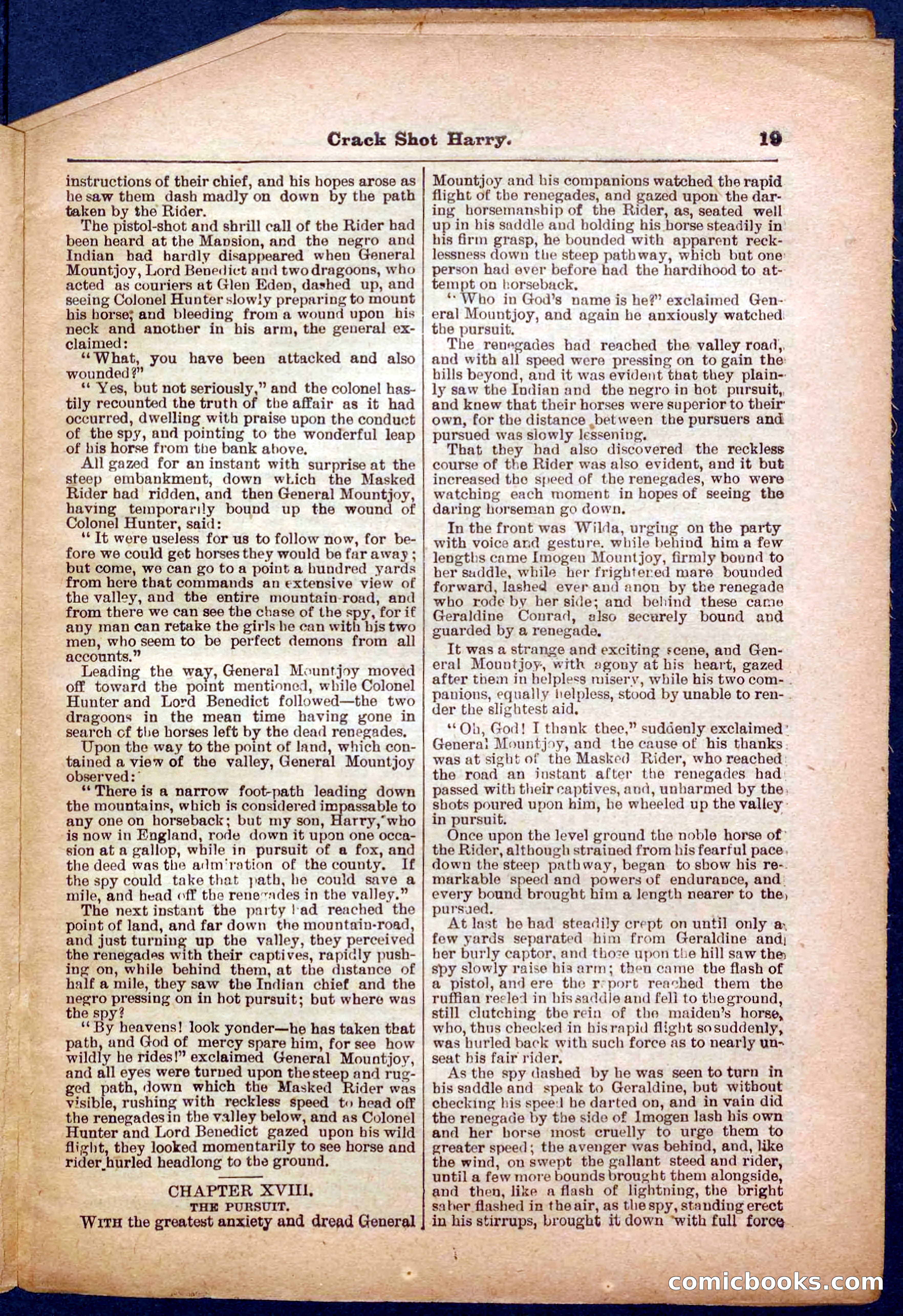 Beadle's Pocket Library No. 365 — page 19 of 32