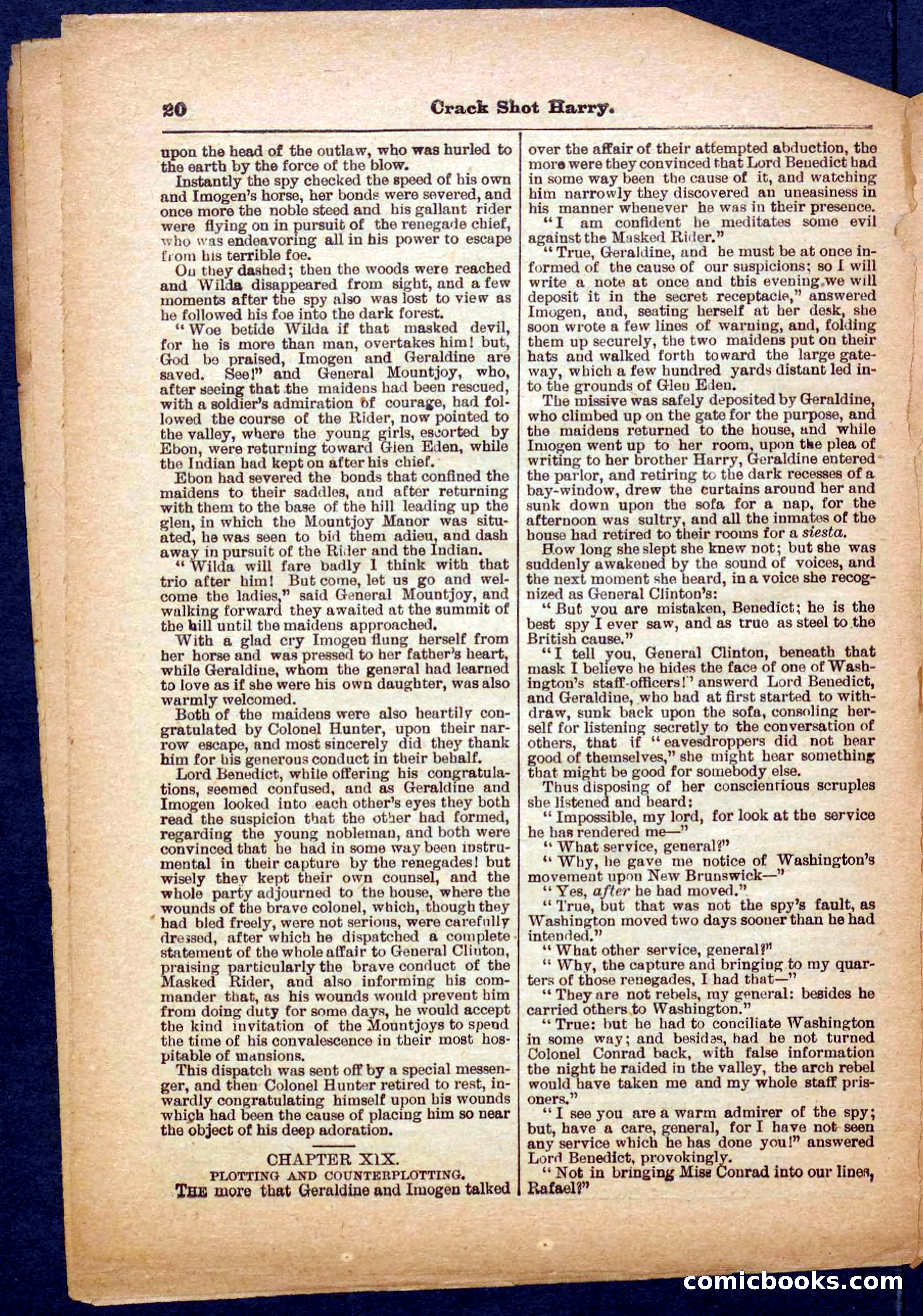 Beadle's Pocket Library No. 365 — page 20 of 32