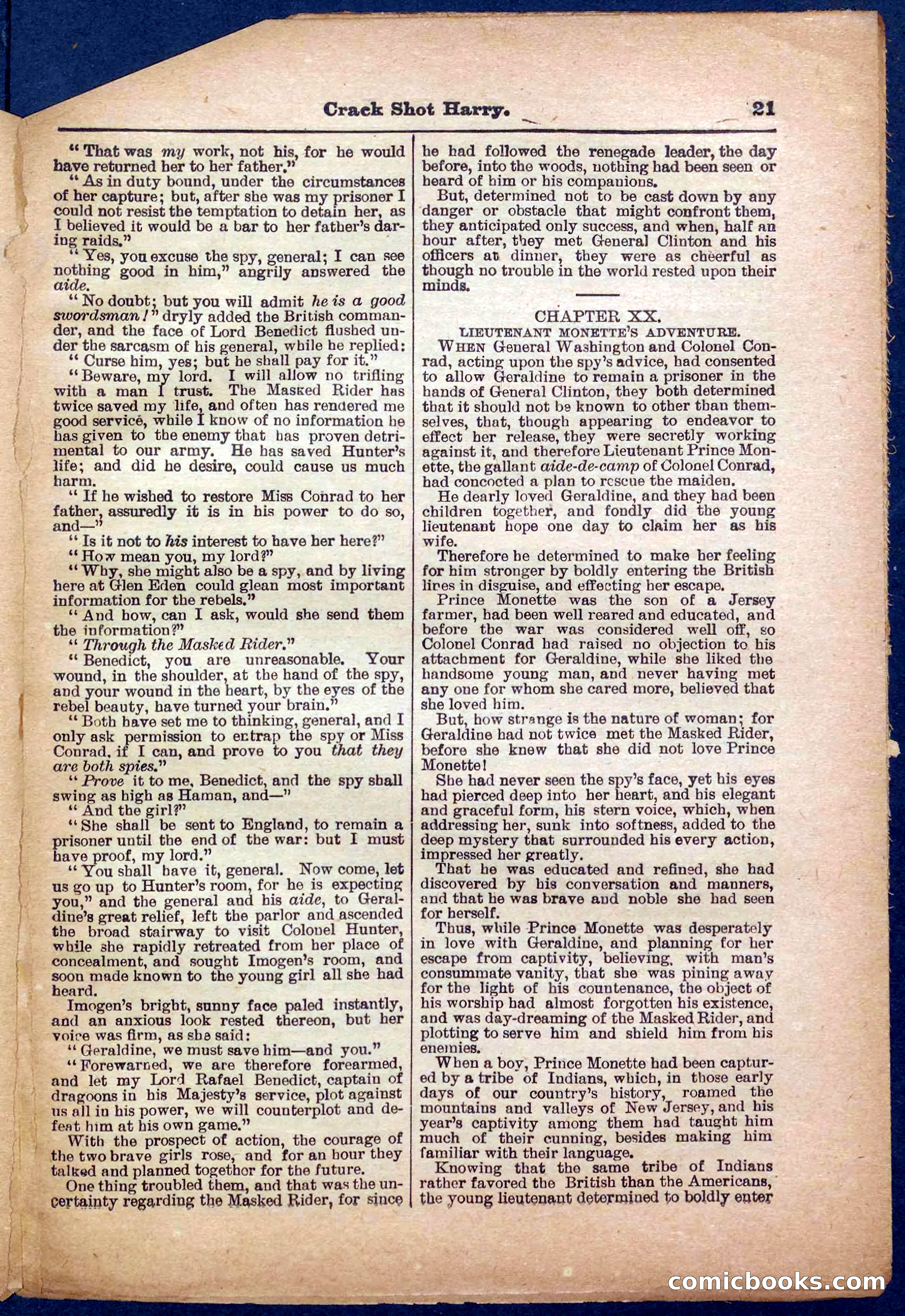 Beadle's Pocket Library No. 365 — page 21 of 32