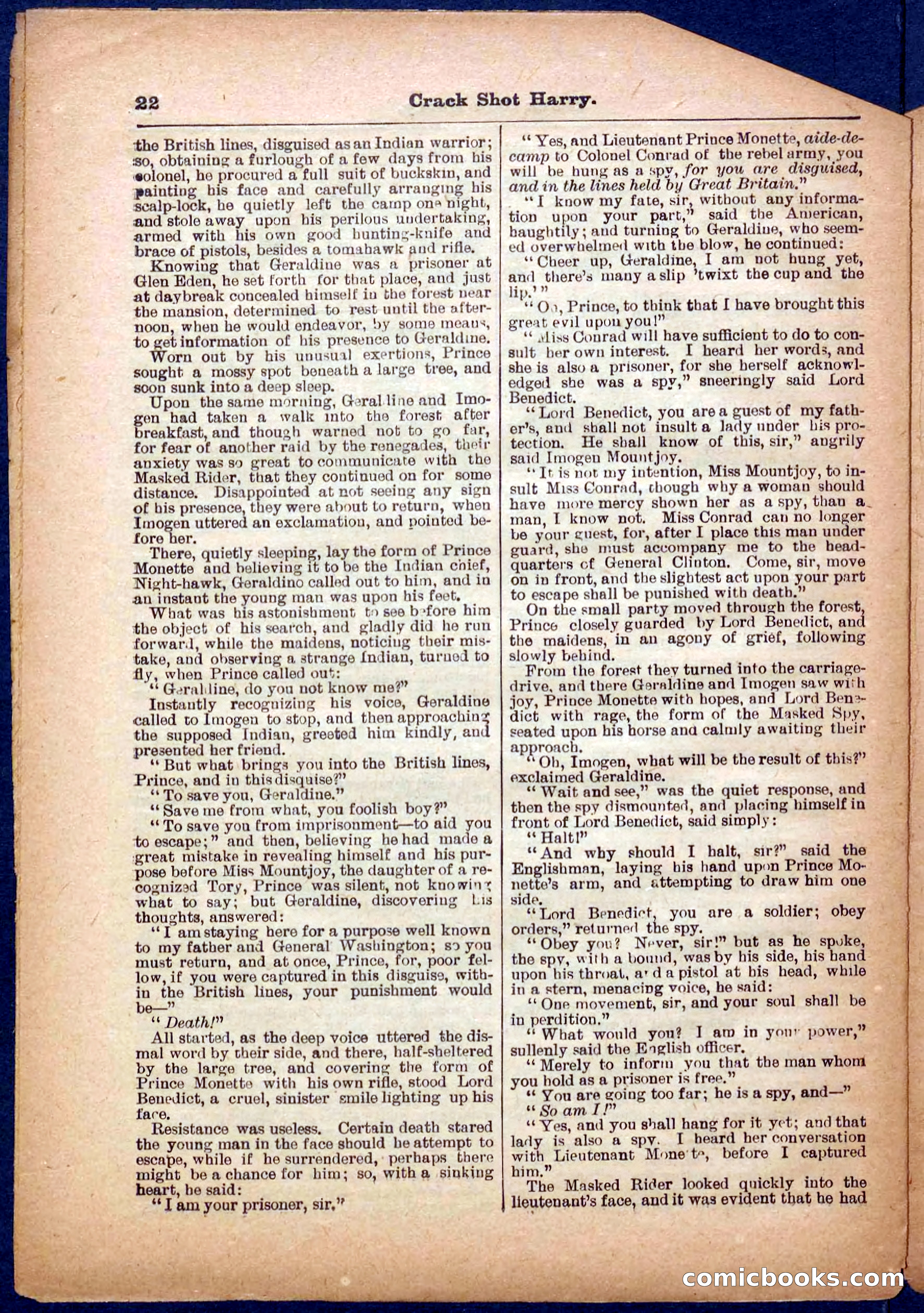 Beadle's Pocket Library No. 365 — page 22 of 32