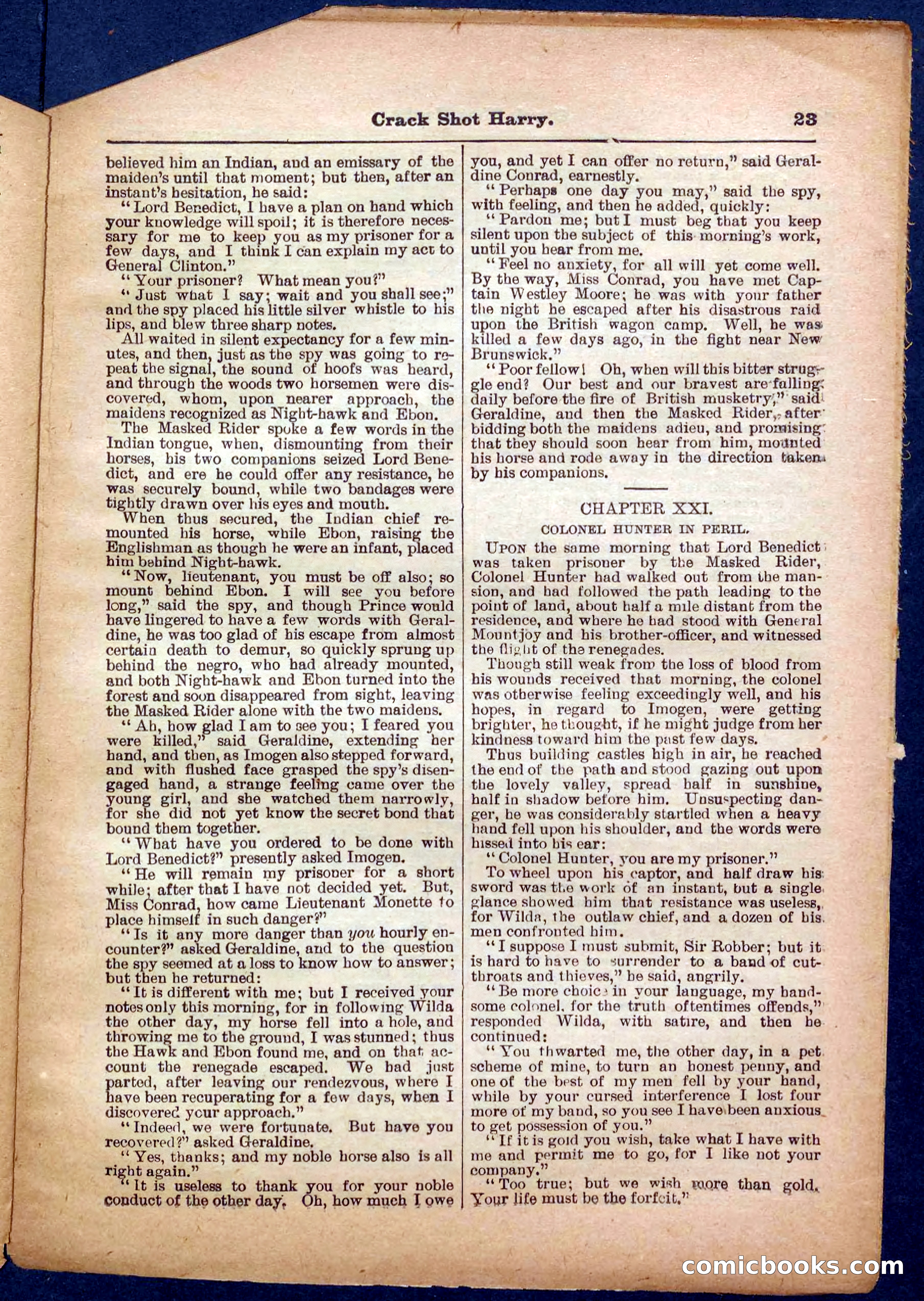 Beadle's Pocket Library No. 365 — page 23 of 32