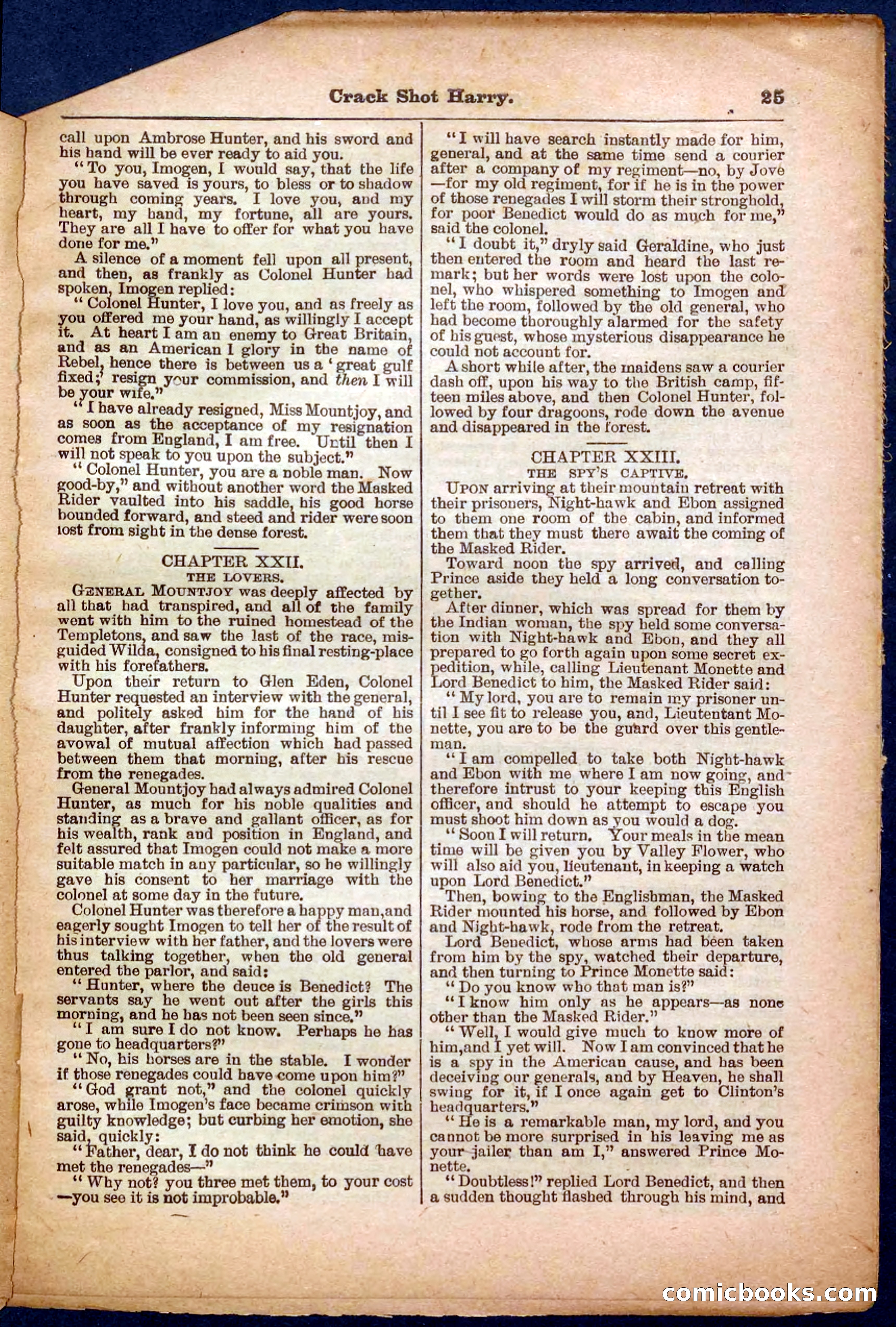Beadle's Pocket Library No. 365 — page 25 of 32