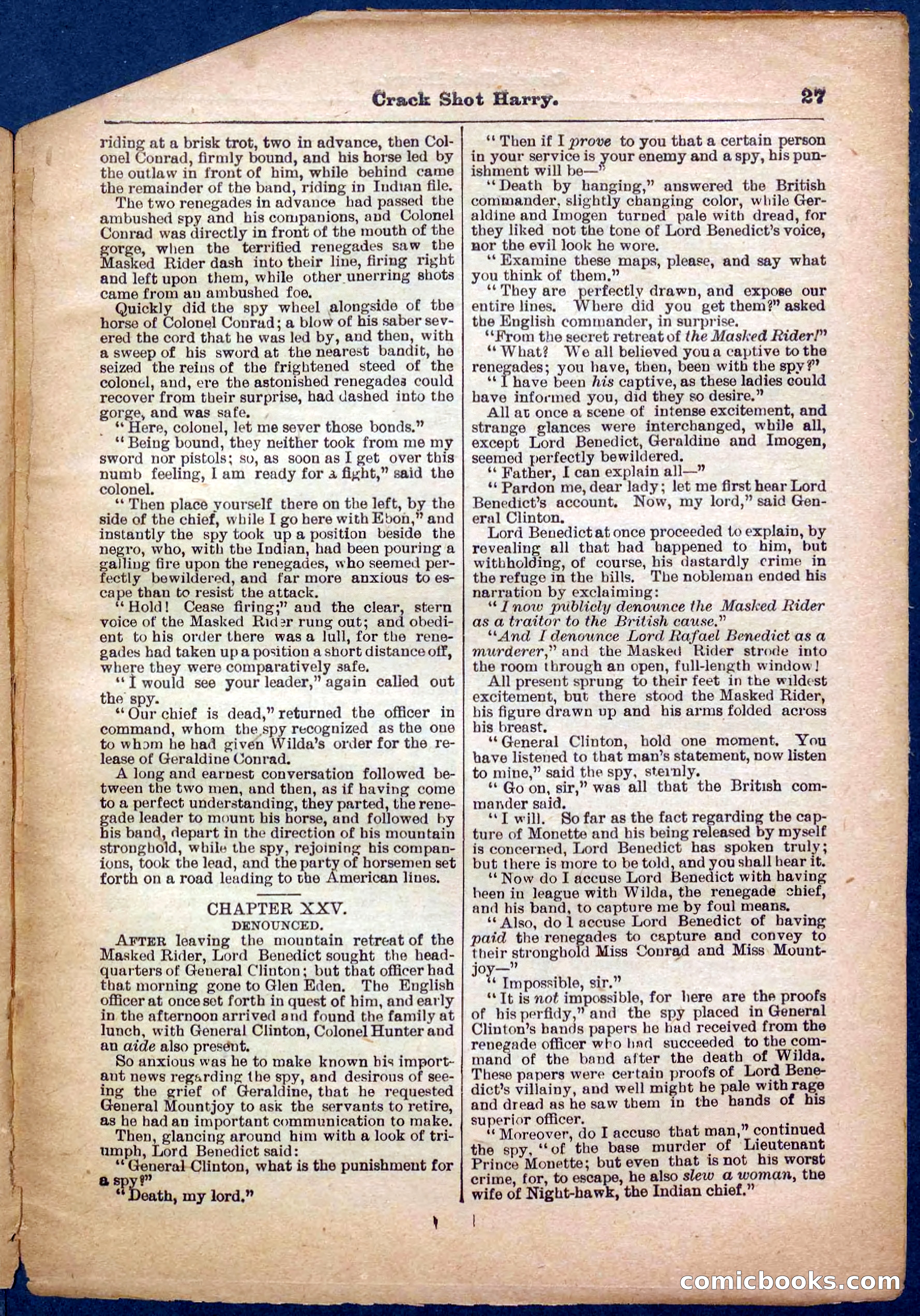 Beadle's Pocket Library No. 365 — page 27 of 32