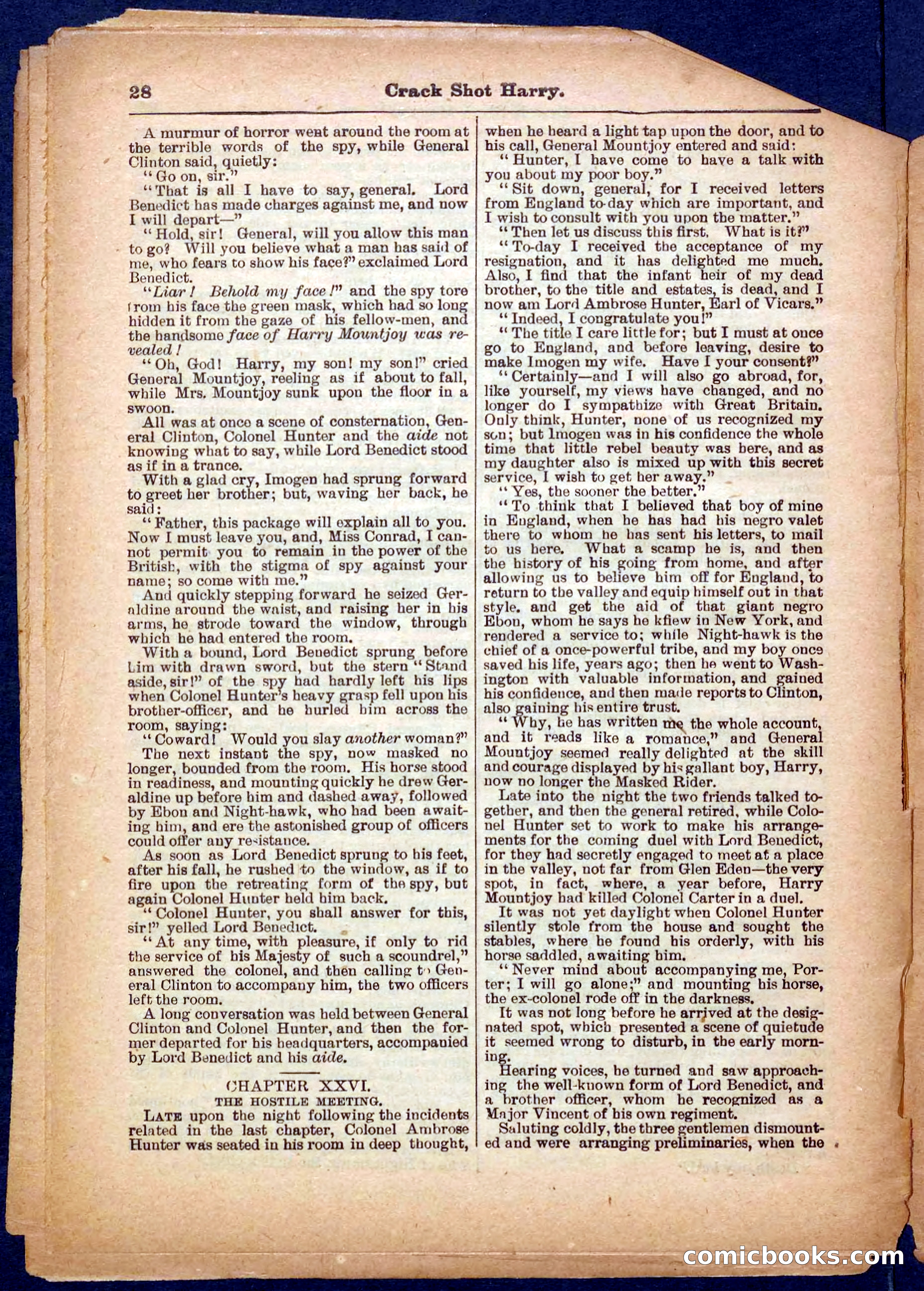 Beadle's Pocket Library No. 365 — page 28 of 32