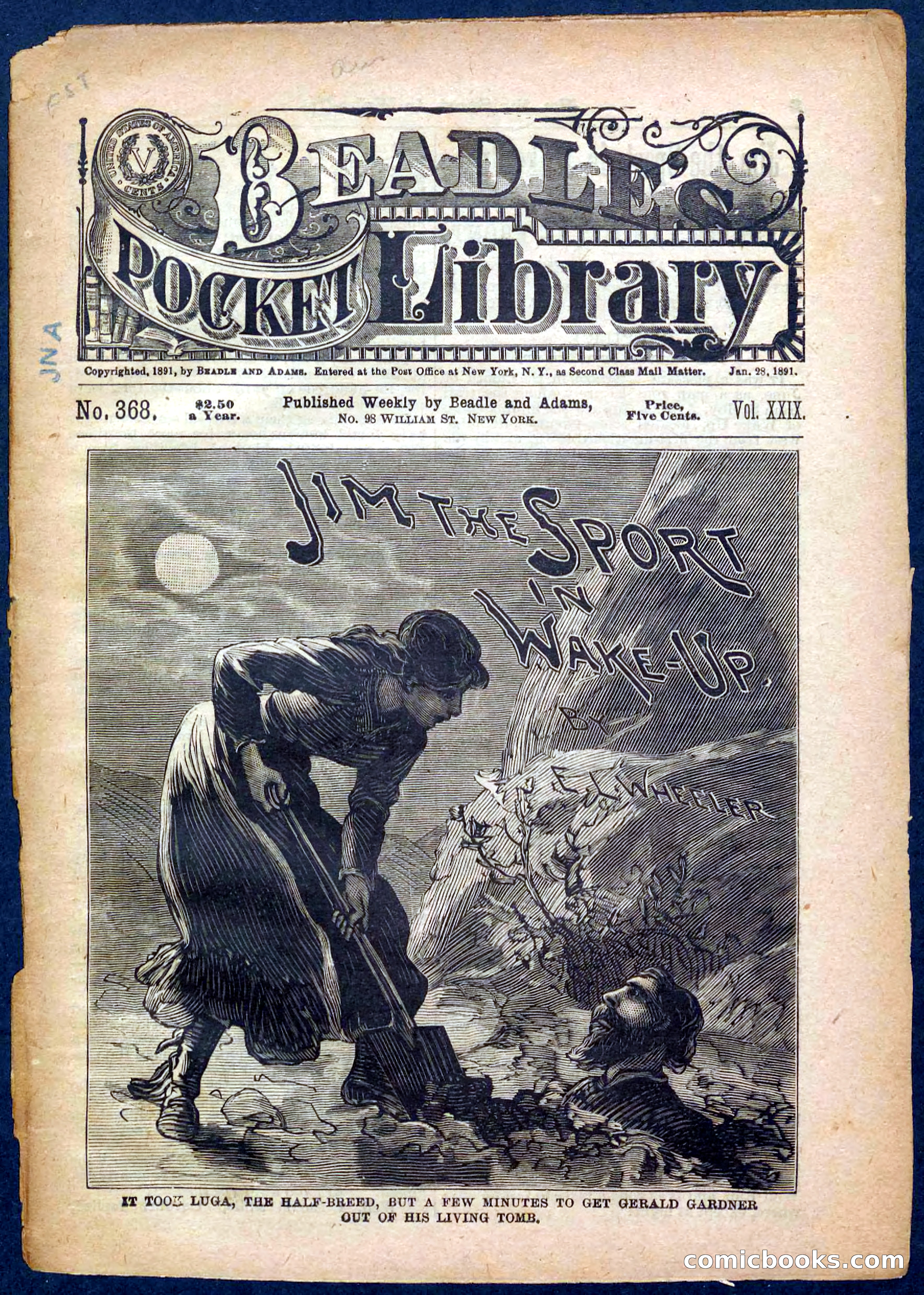 Beadle's Pocket Library No. 368 — page 1 of 32