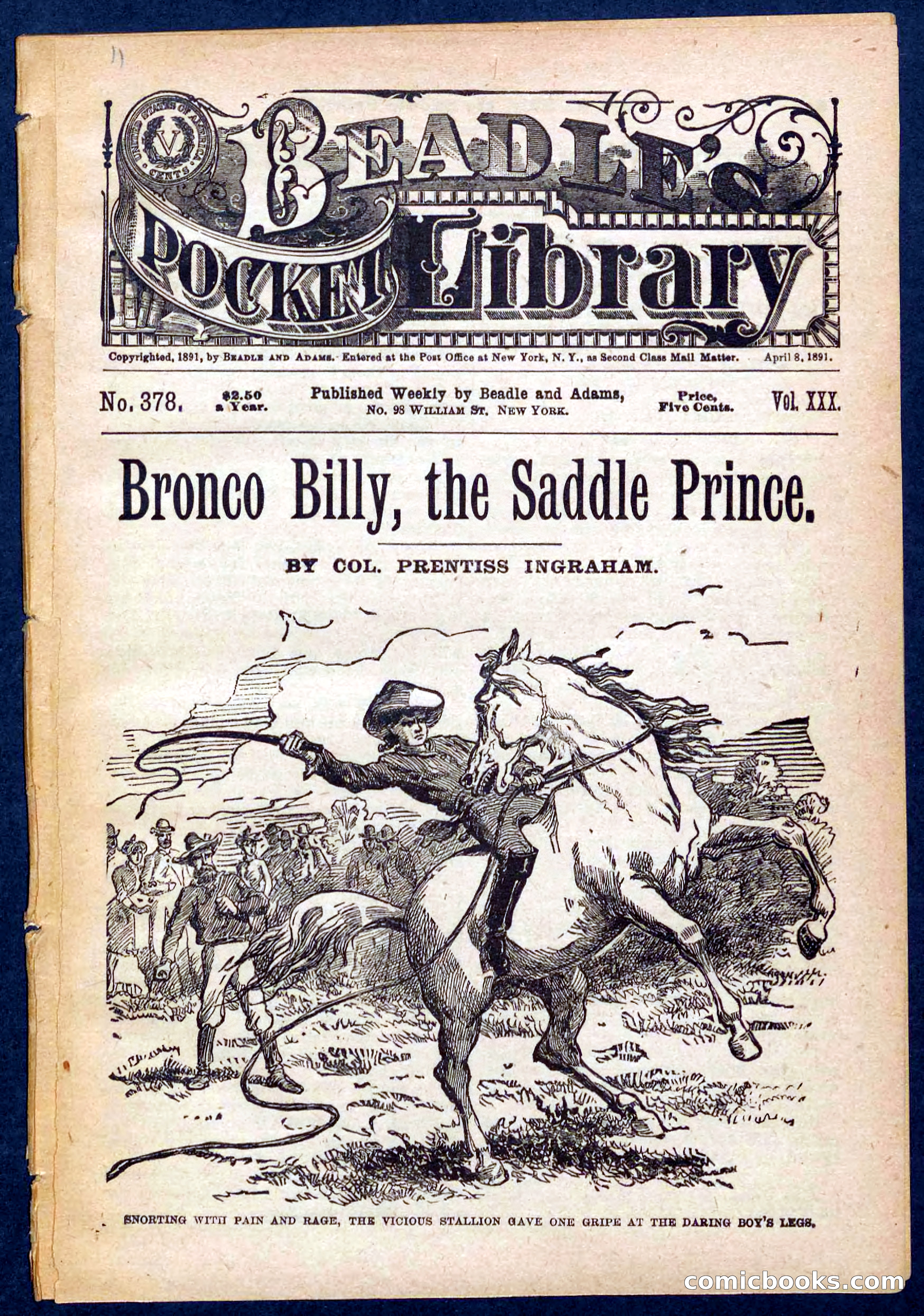 Beadle's Pocket Library No. 378 — page 1 of 32