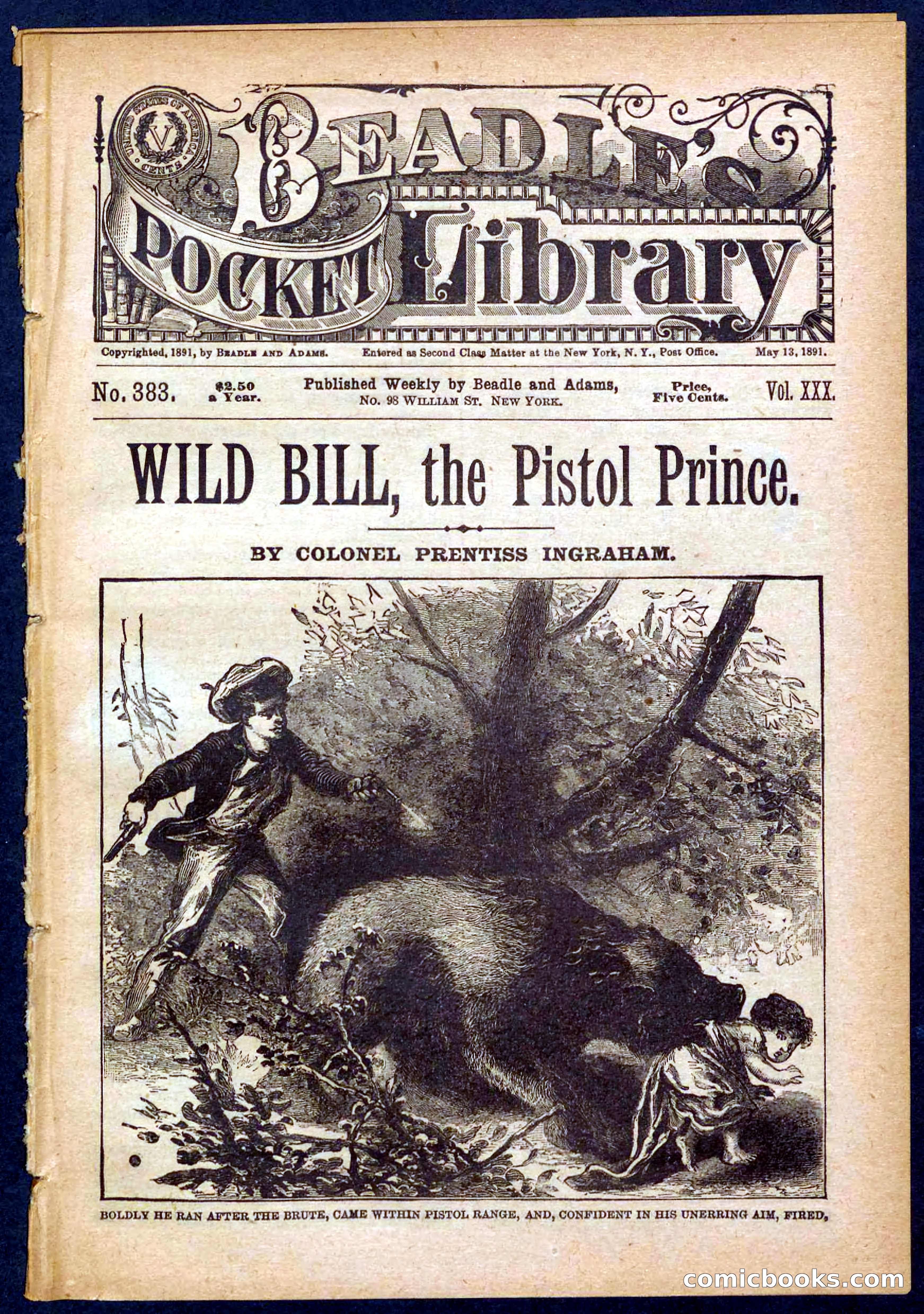 Beadle's Pocket Library No. 383 — page 1 of 32