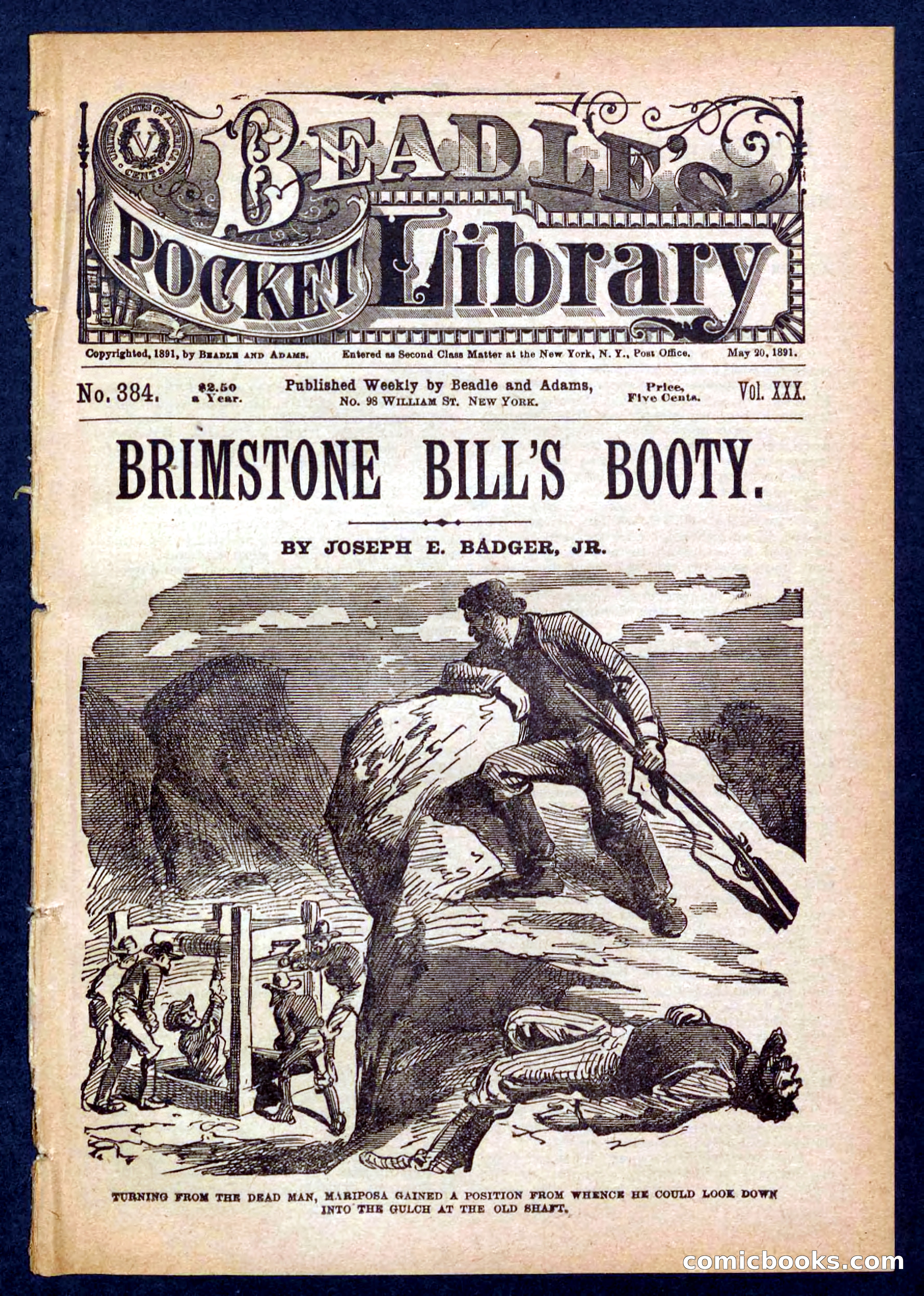 Beadle's Pocket Library No. 384: Brimstone Bill's Booty — page 1 of 32