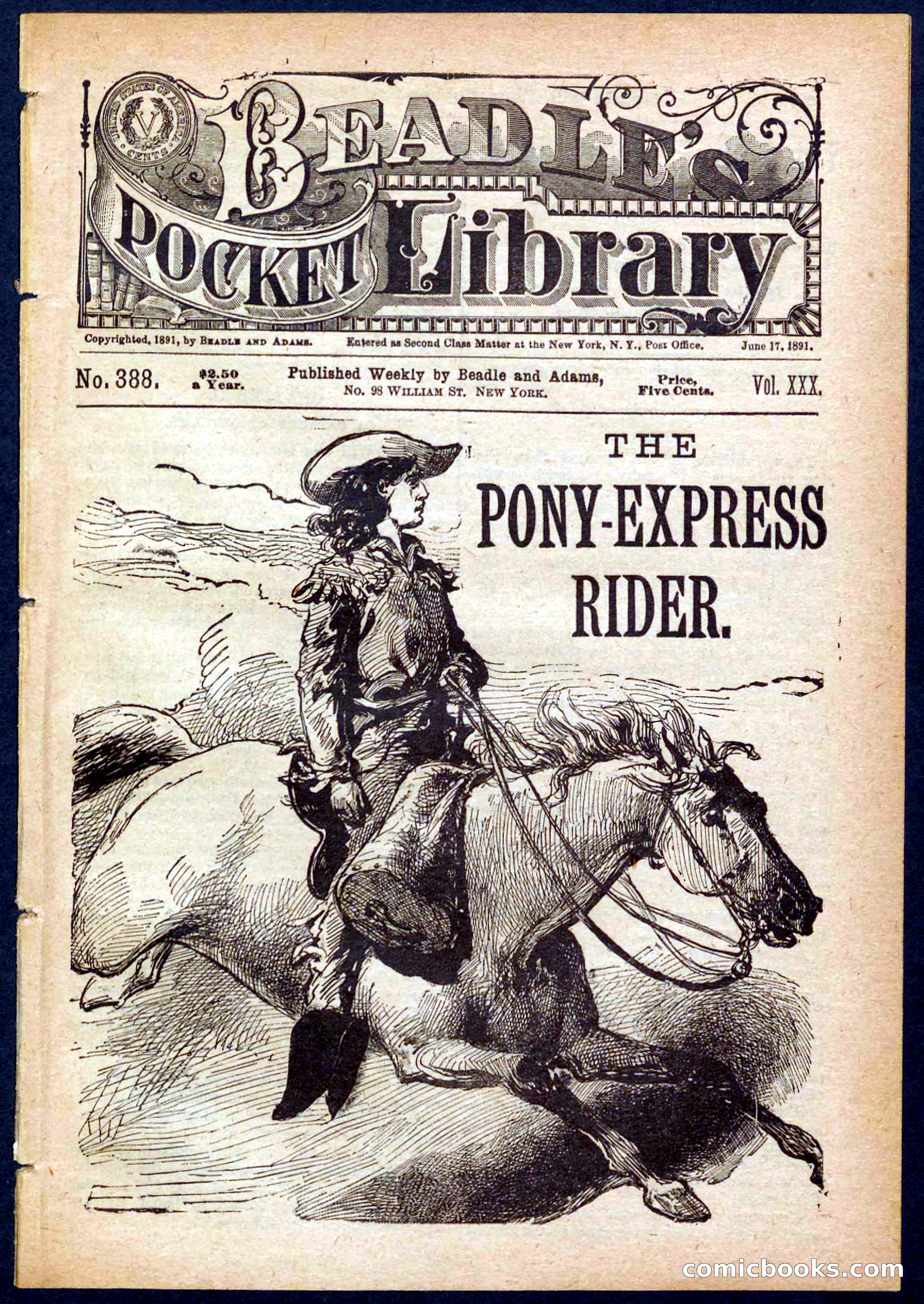 The Pony-Express Rider — page 1 of 32
