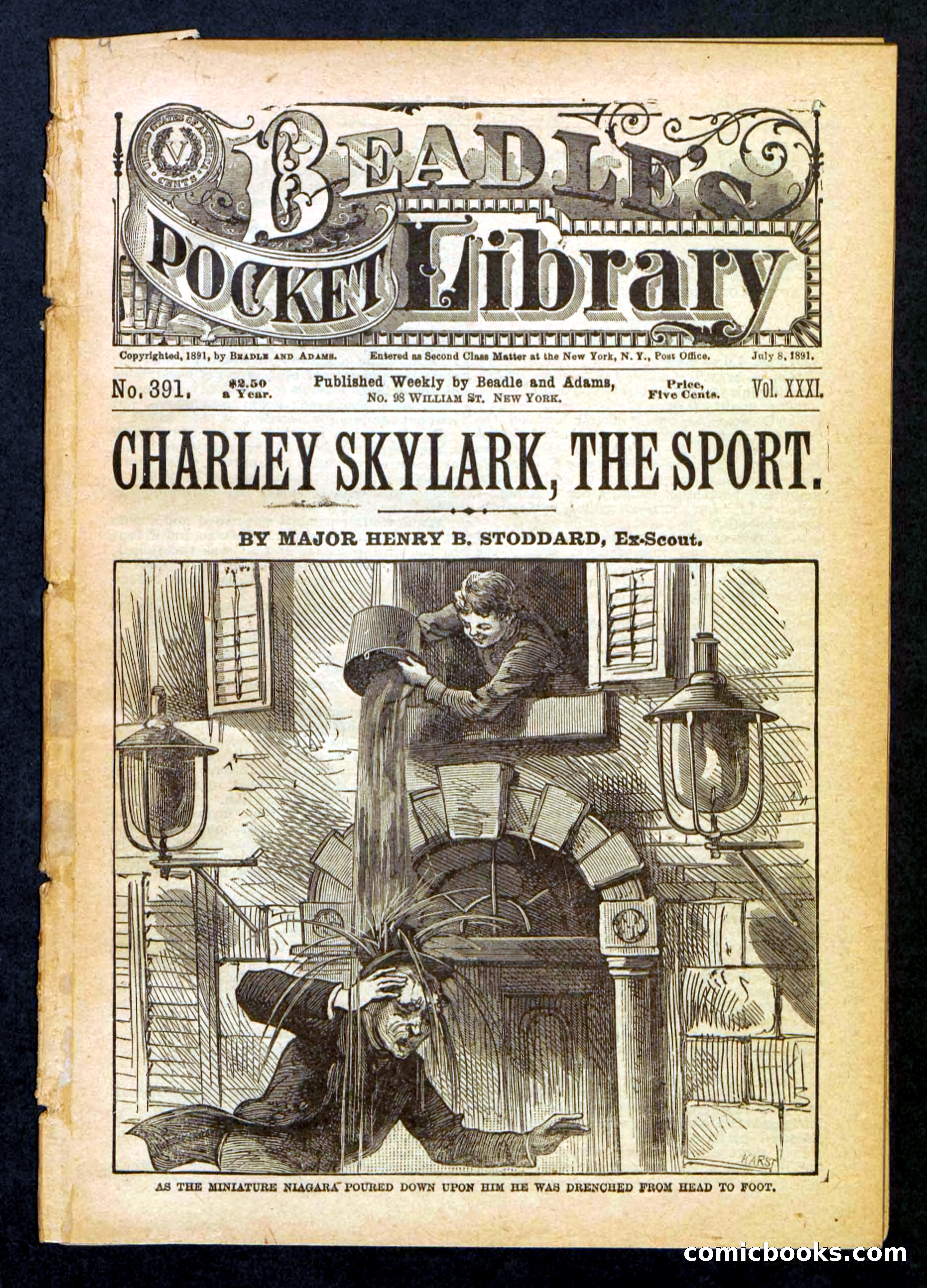 Beadle's Pocket Library No. 391 — page 1 of 32