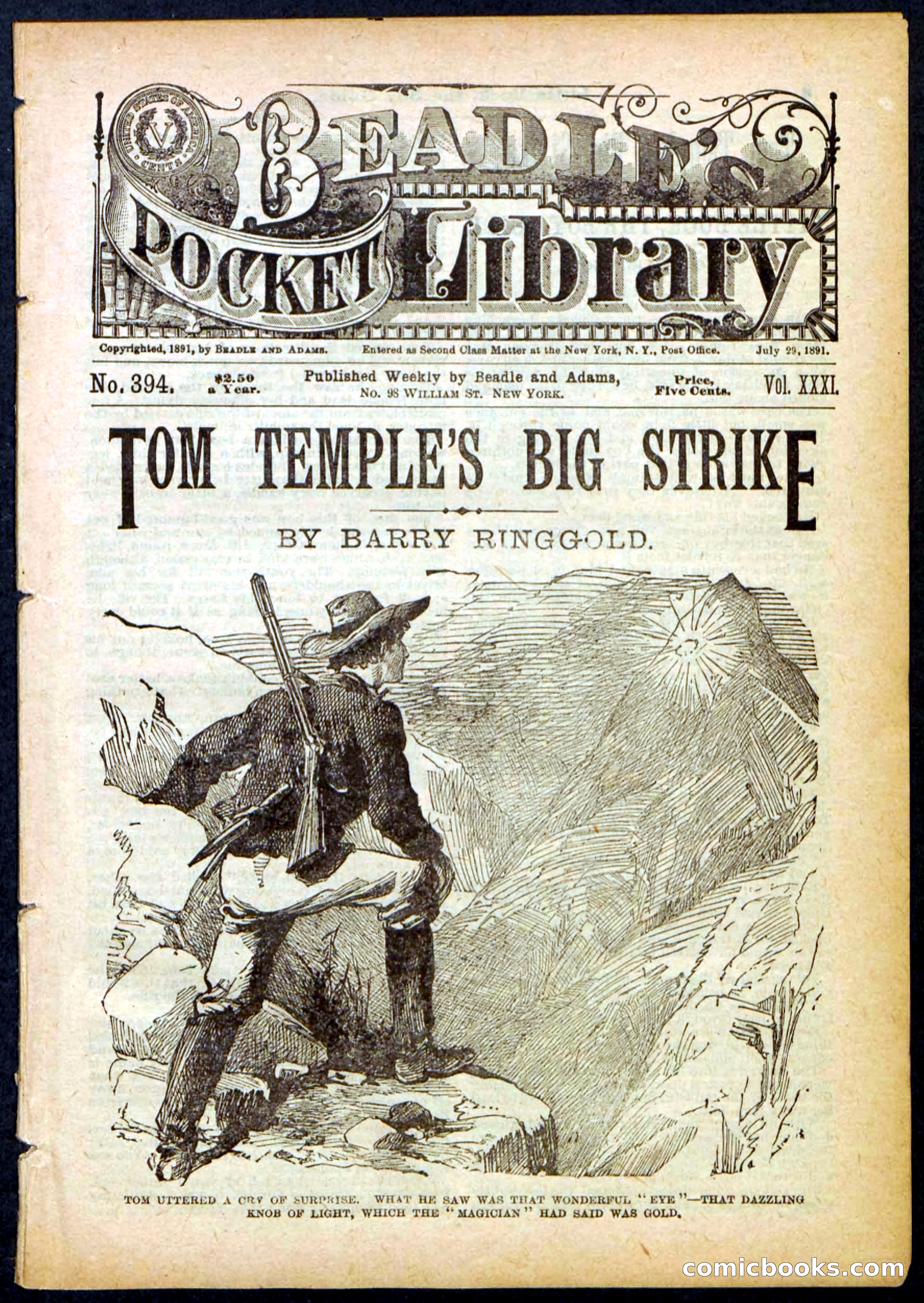 Beadle's Pocket Library No. 394 — page 1 of 32