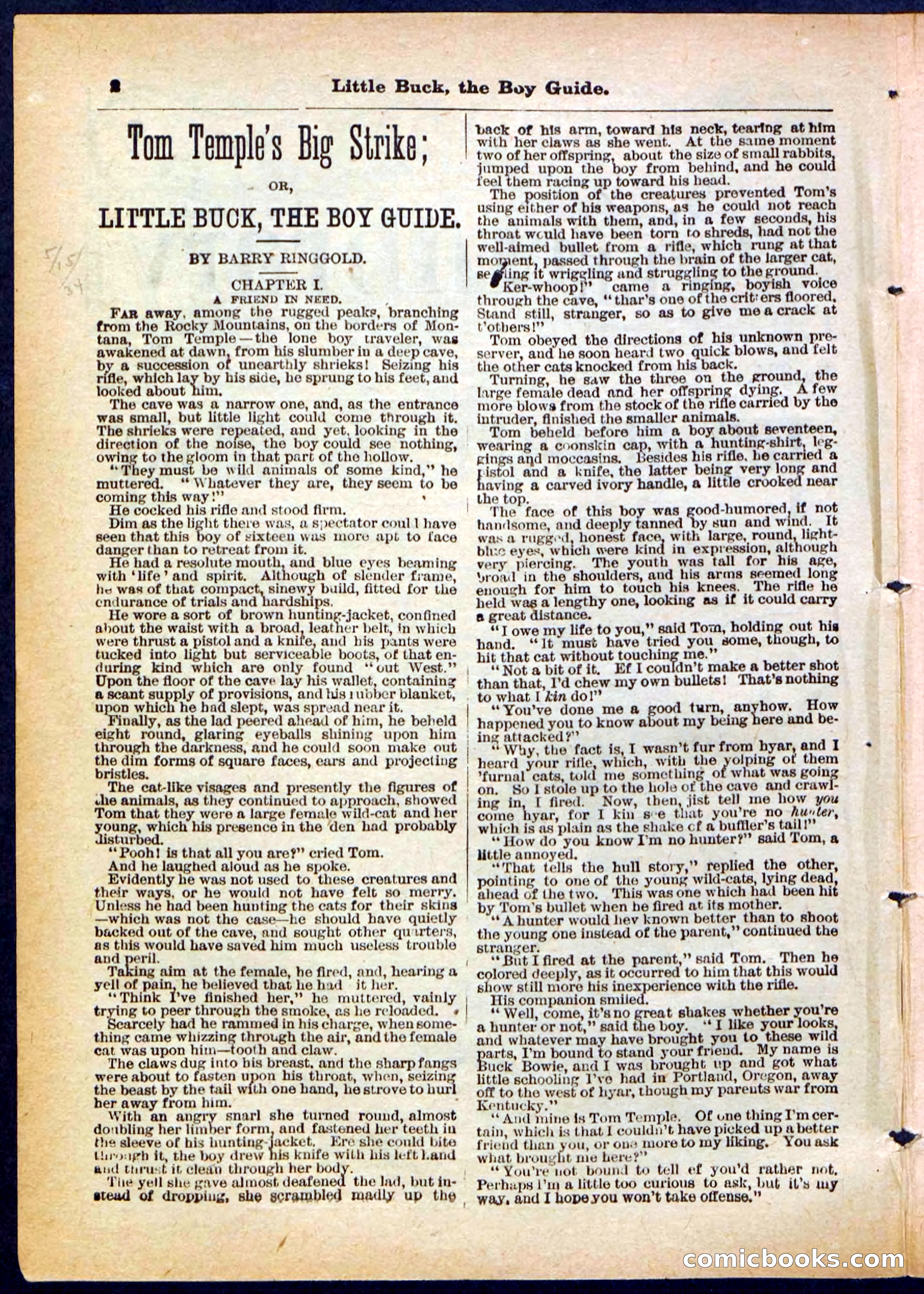 Beadle's Pocket Library No. 394 — page 2 of 32