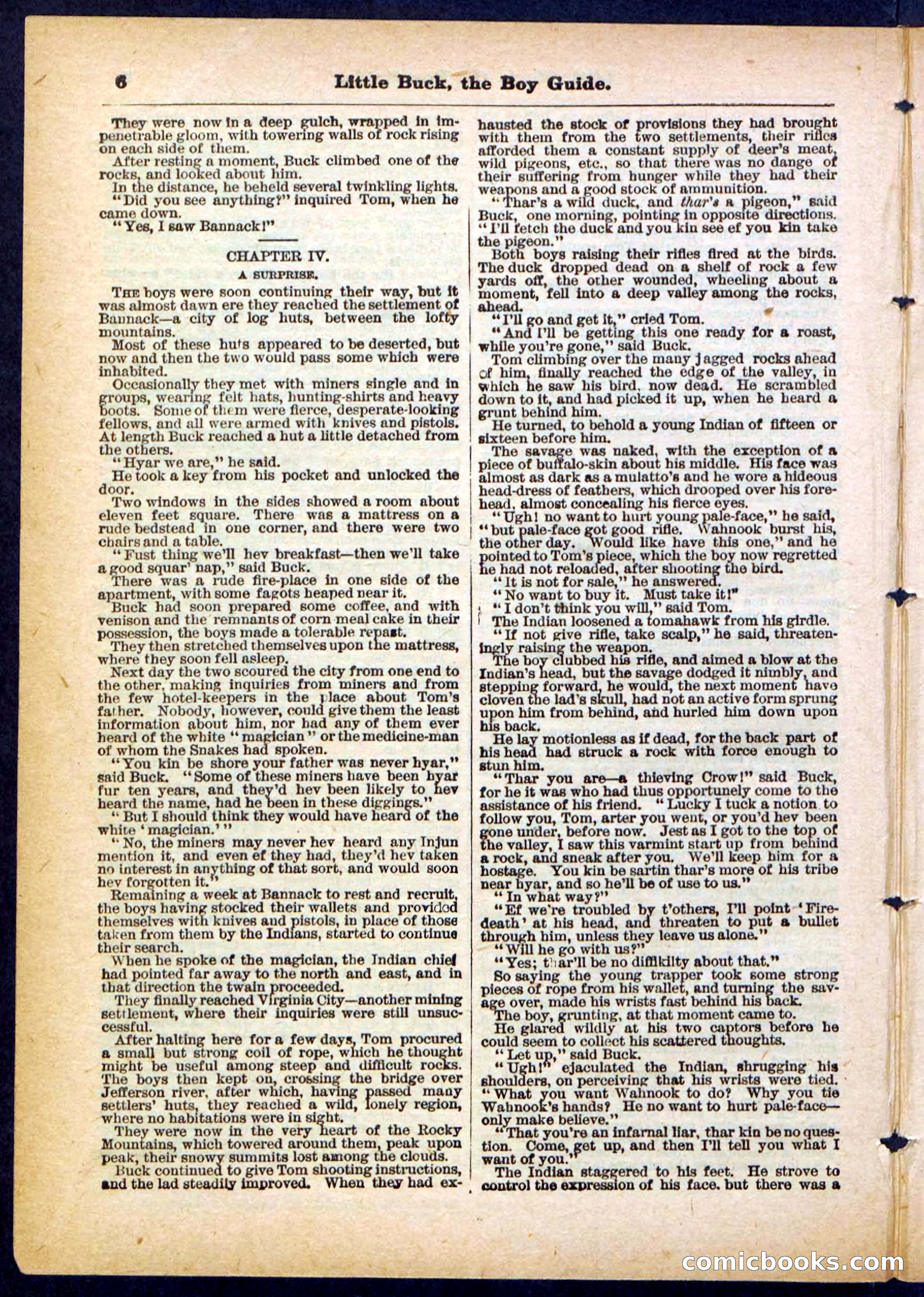 Beadle's Pocket Library No. 394 — page 6 of 32