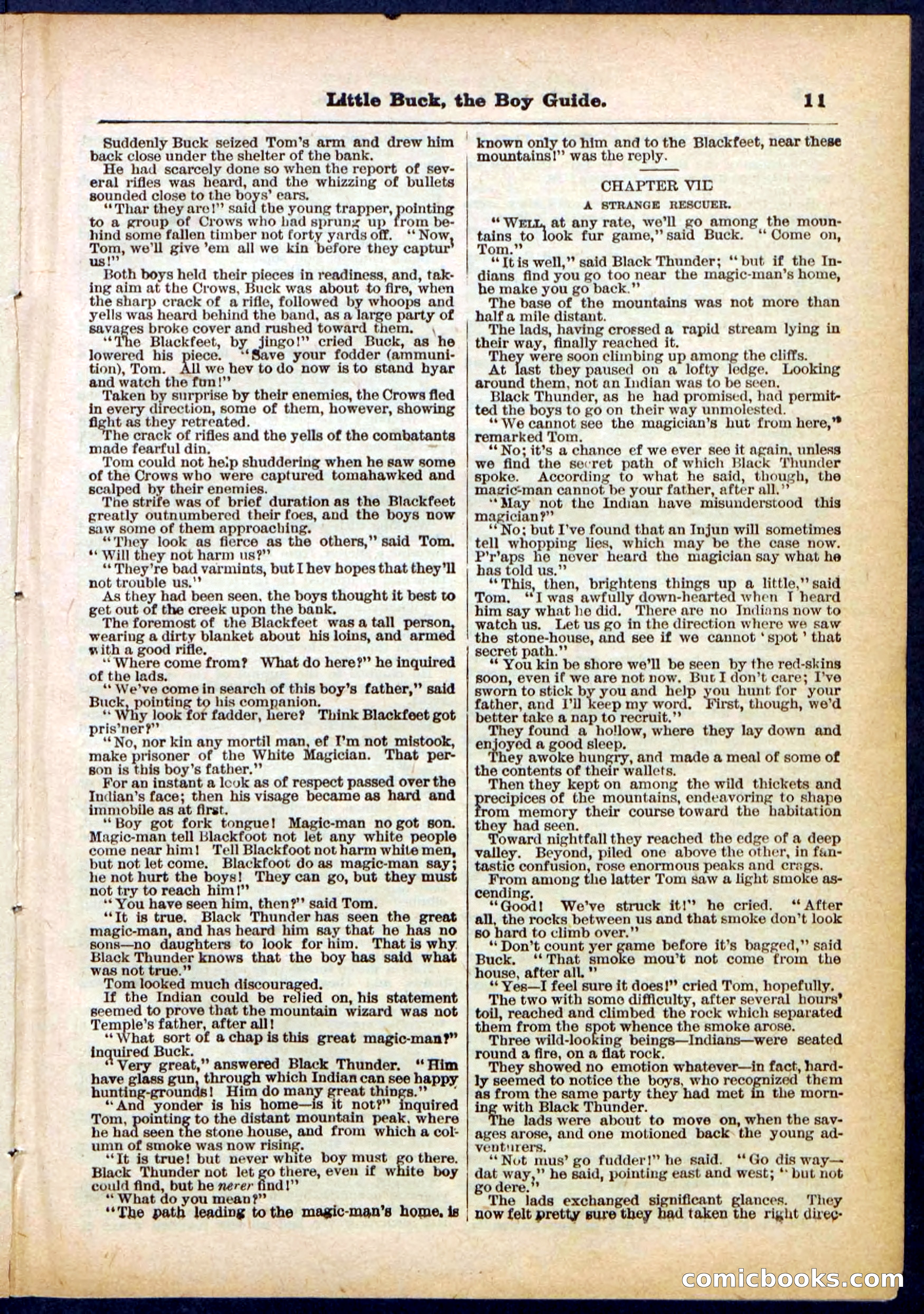 Beadle's Pocket Library No. 394 — page 11 of 32