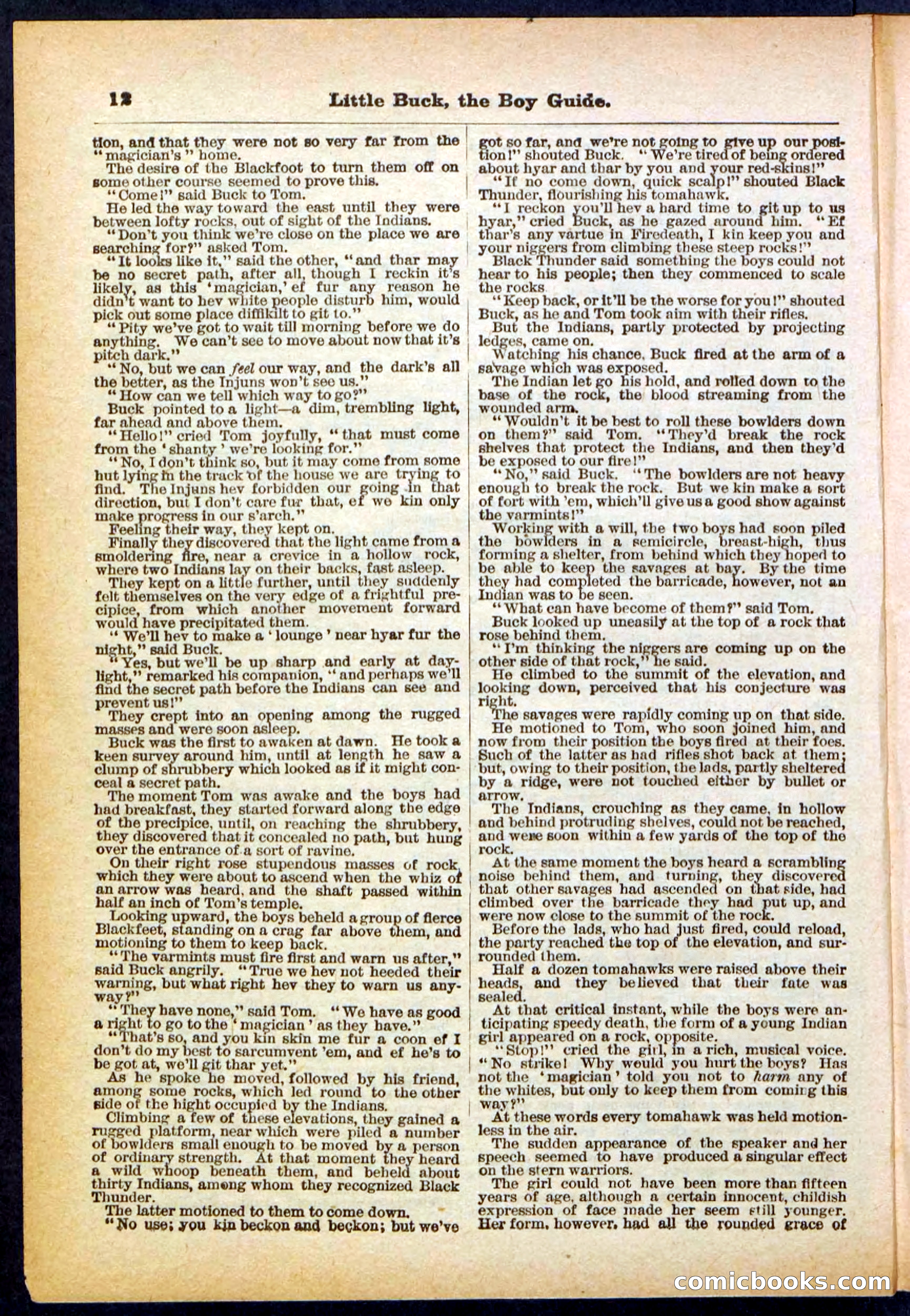 Beadle's Pocket Library No. 394 — page 12 of 32