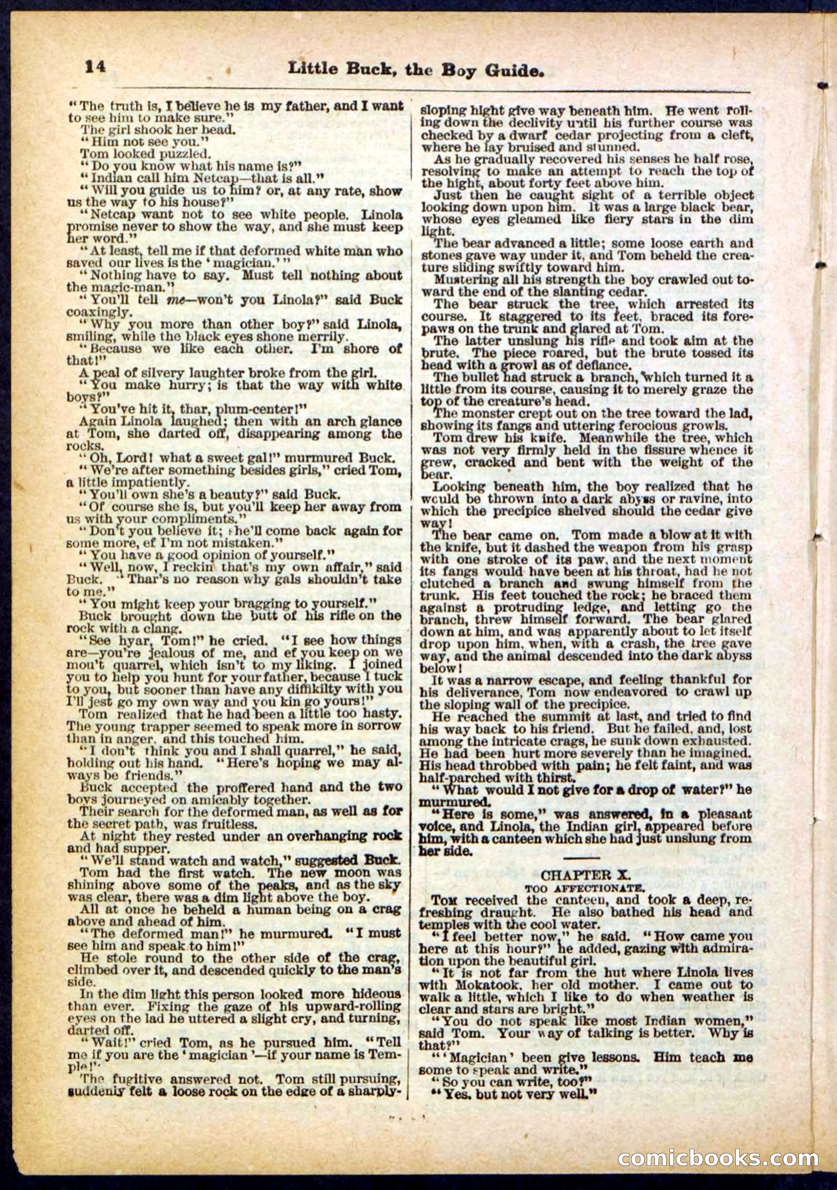 Beadle's Pocket Library No. 394 — page 14 of 32