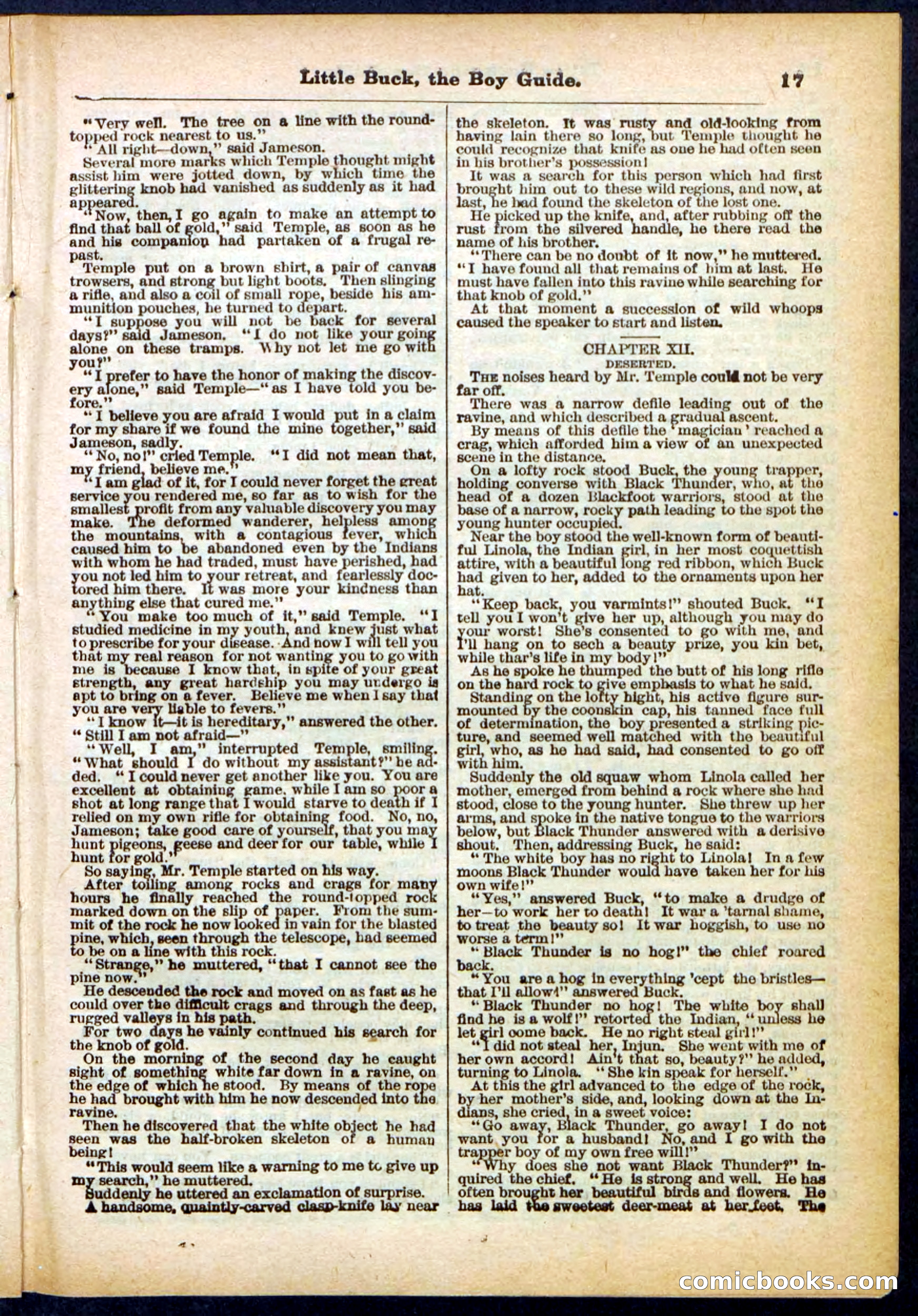 Beadle's Pocket Library No. 394 — page 17 of 32