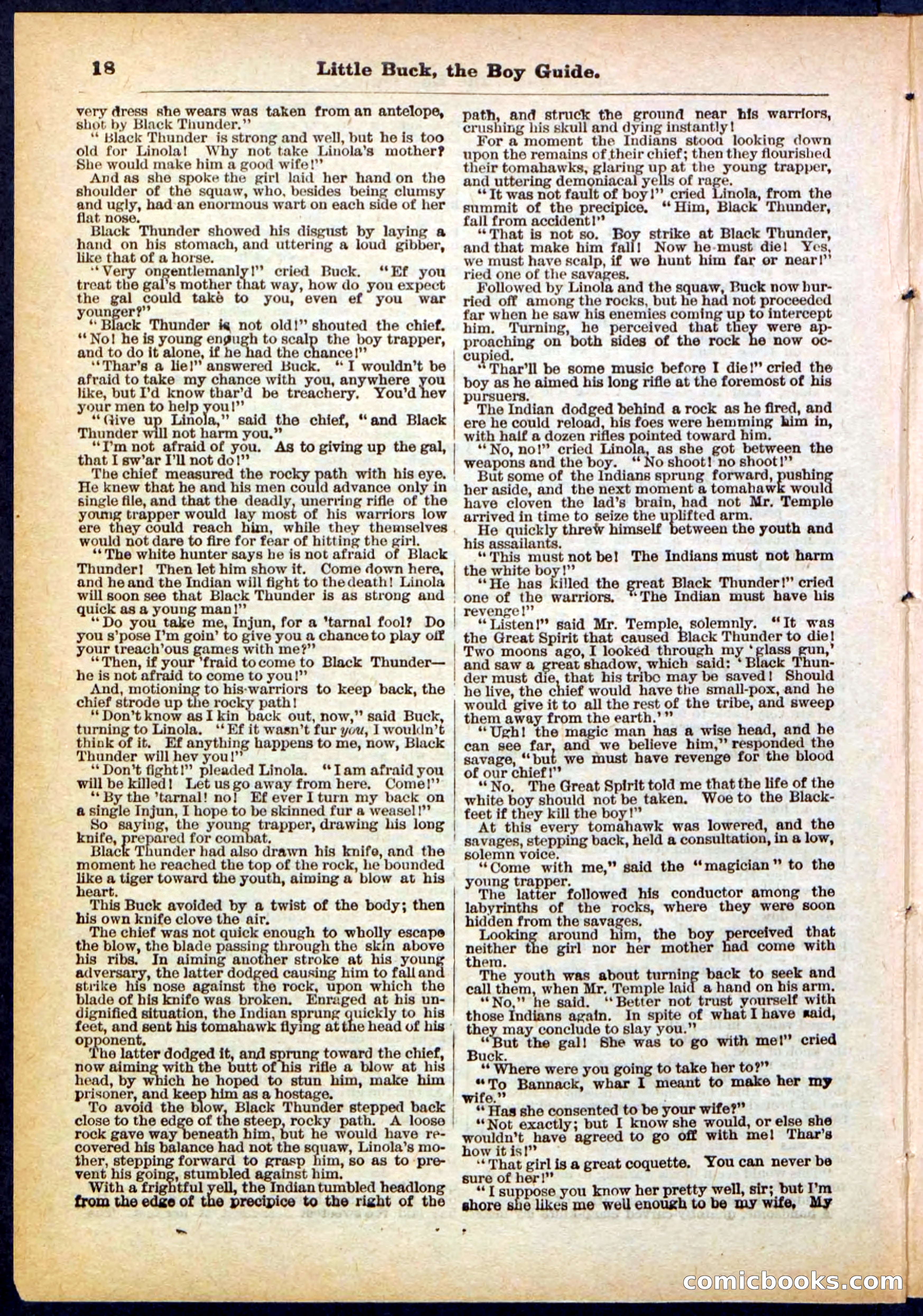 Beadle's Pocket Library No. 394 — page 18 of 32