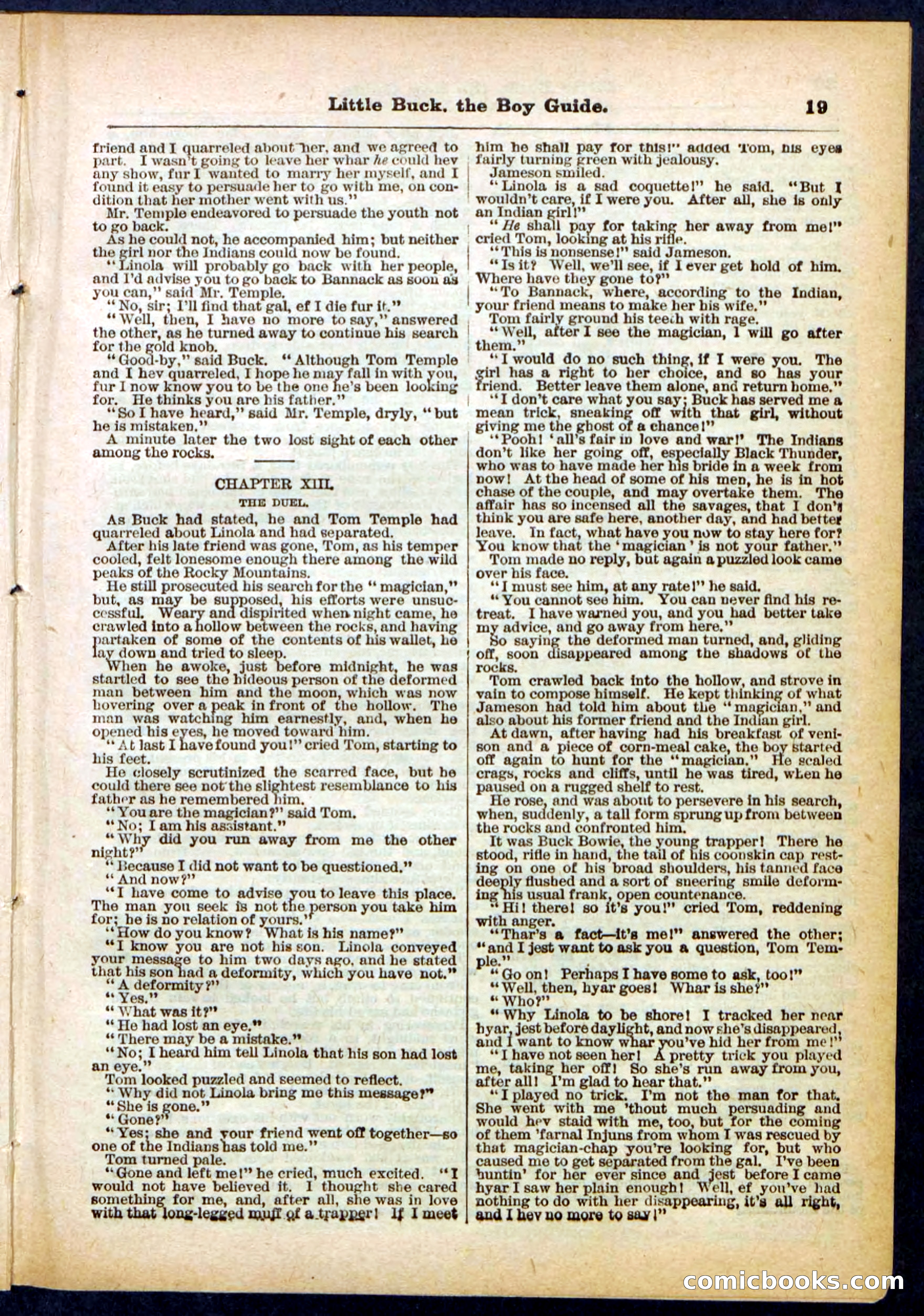 Beadle's Pocket Library No. 394 — page 19 of 32