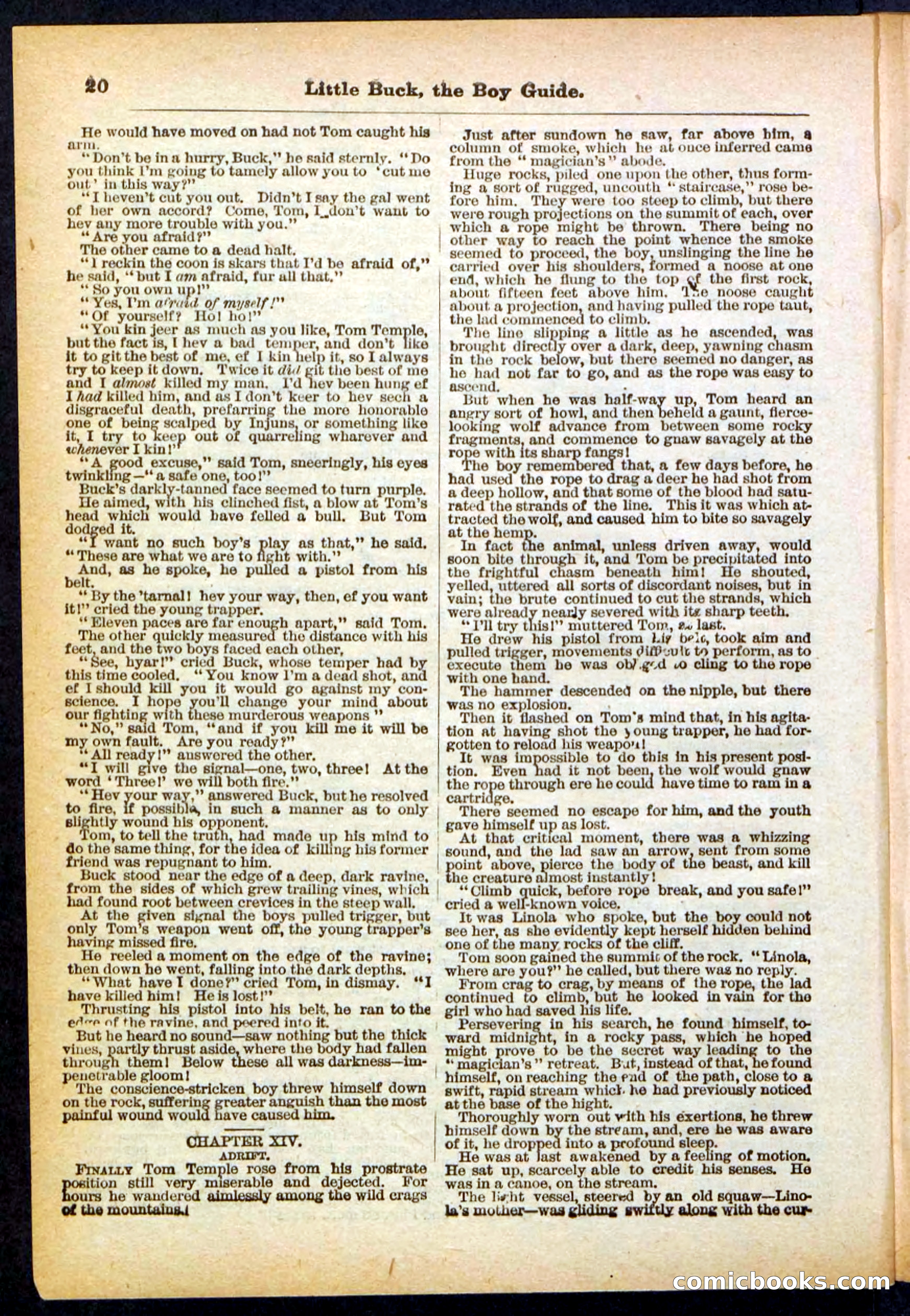 Beadle's Pocket Library No. 394 — page 20 of 32