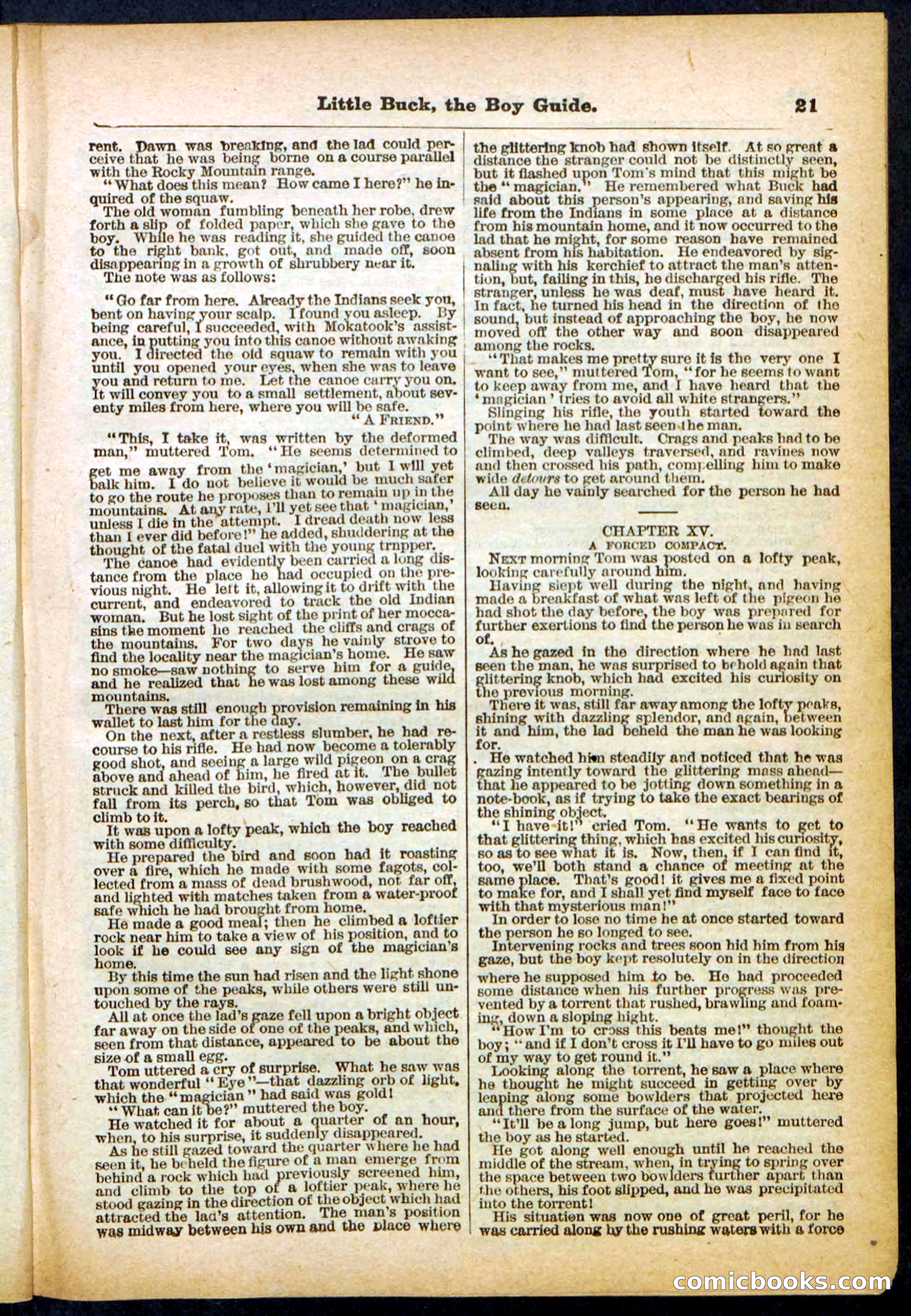 Beadle's Pocket Library No. 394 — page 21 of 32