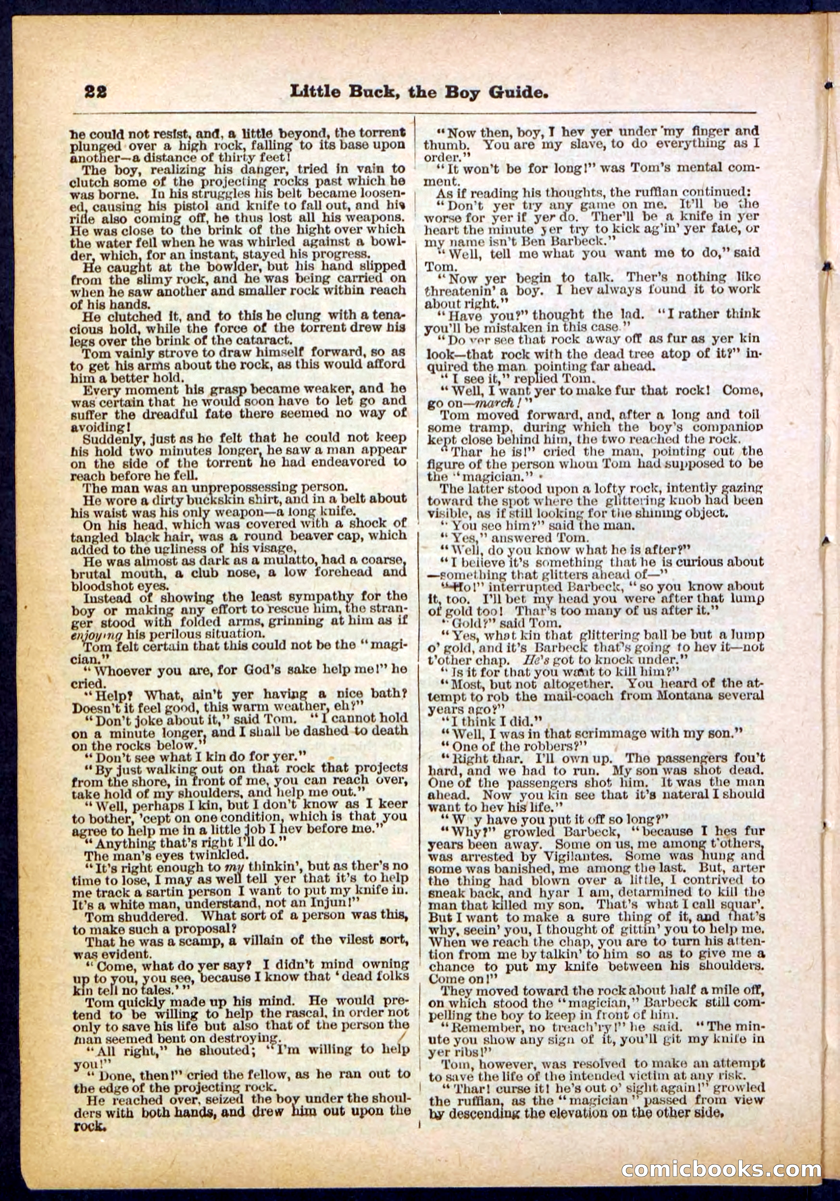 Beadle's Pocket Library No. 394 — page 22 of 32