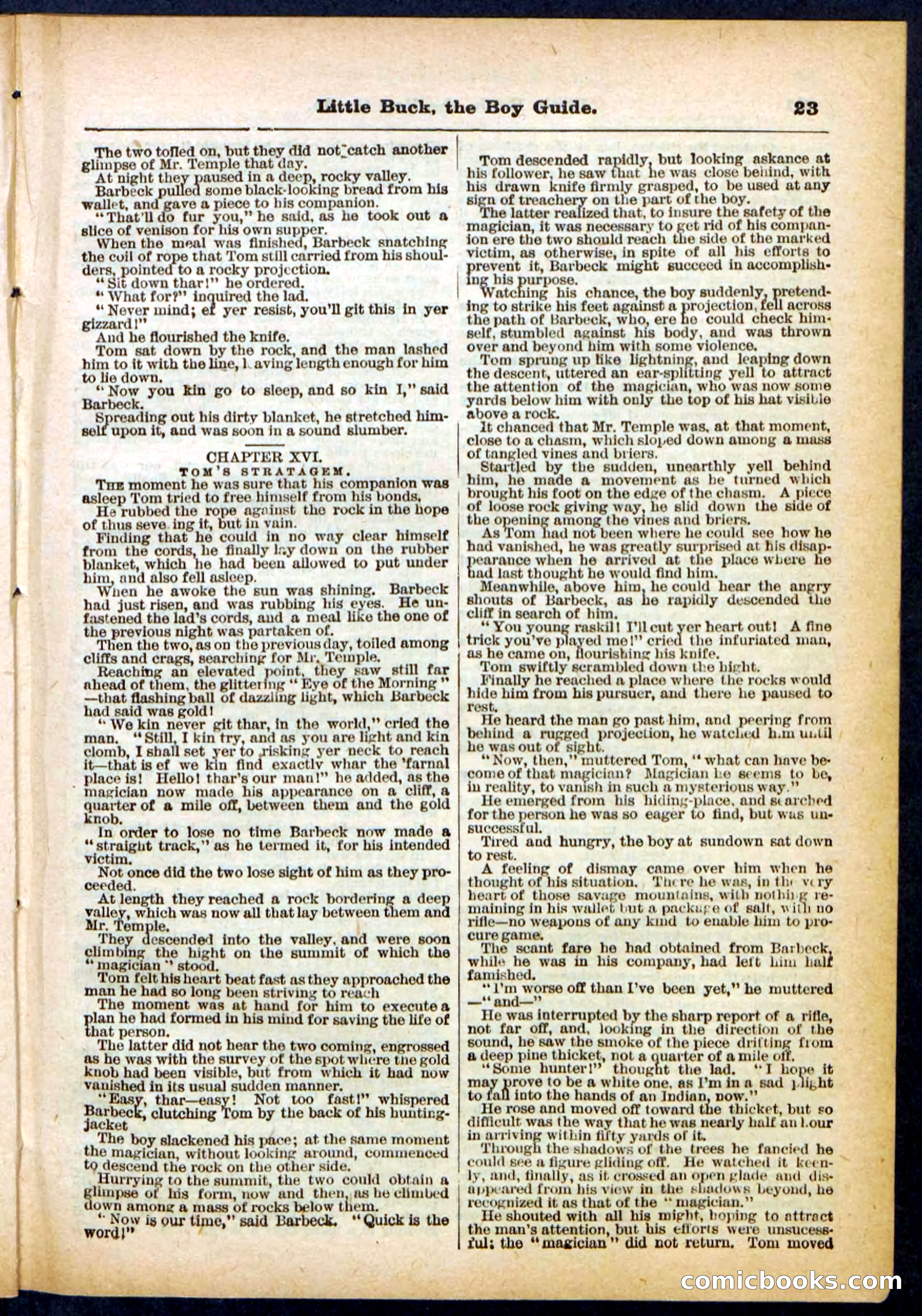 Beadle's Pocket Library No. 394 — page 23 of 32