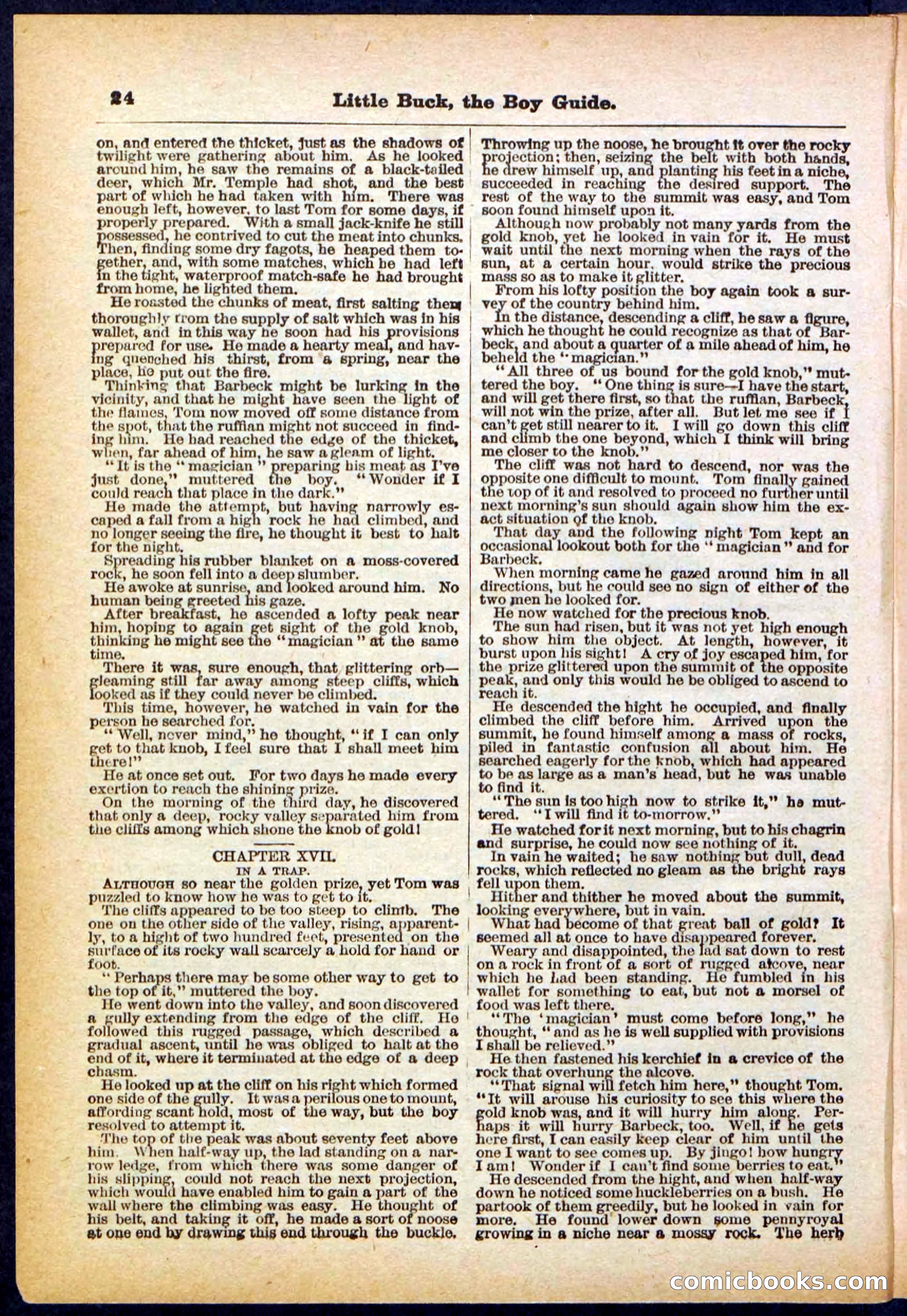 Beadle's Pocket Library No. 394 — page 24 of 32