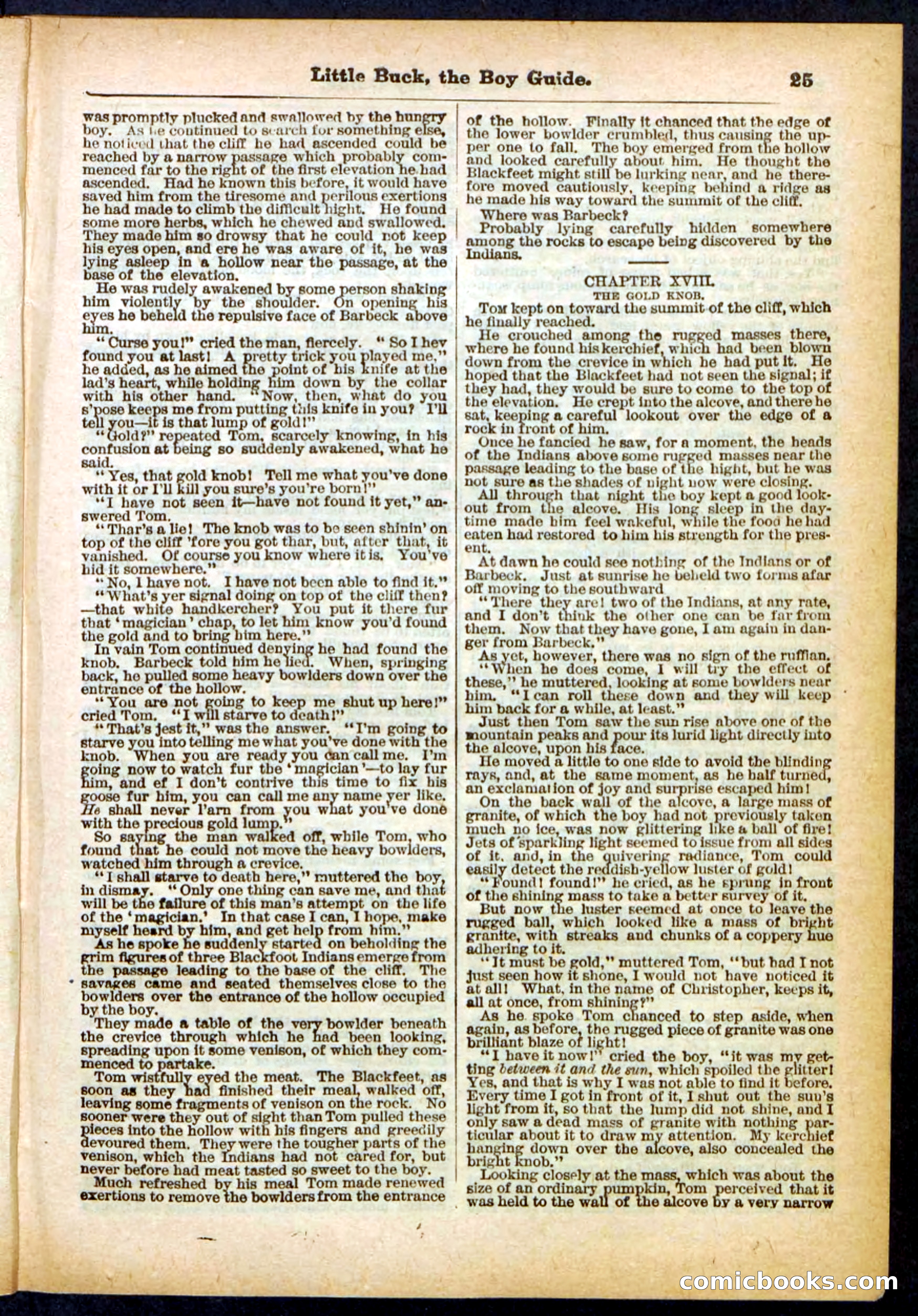 Beadle's Pocket Library No. 394 — page 25 of 32