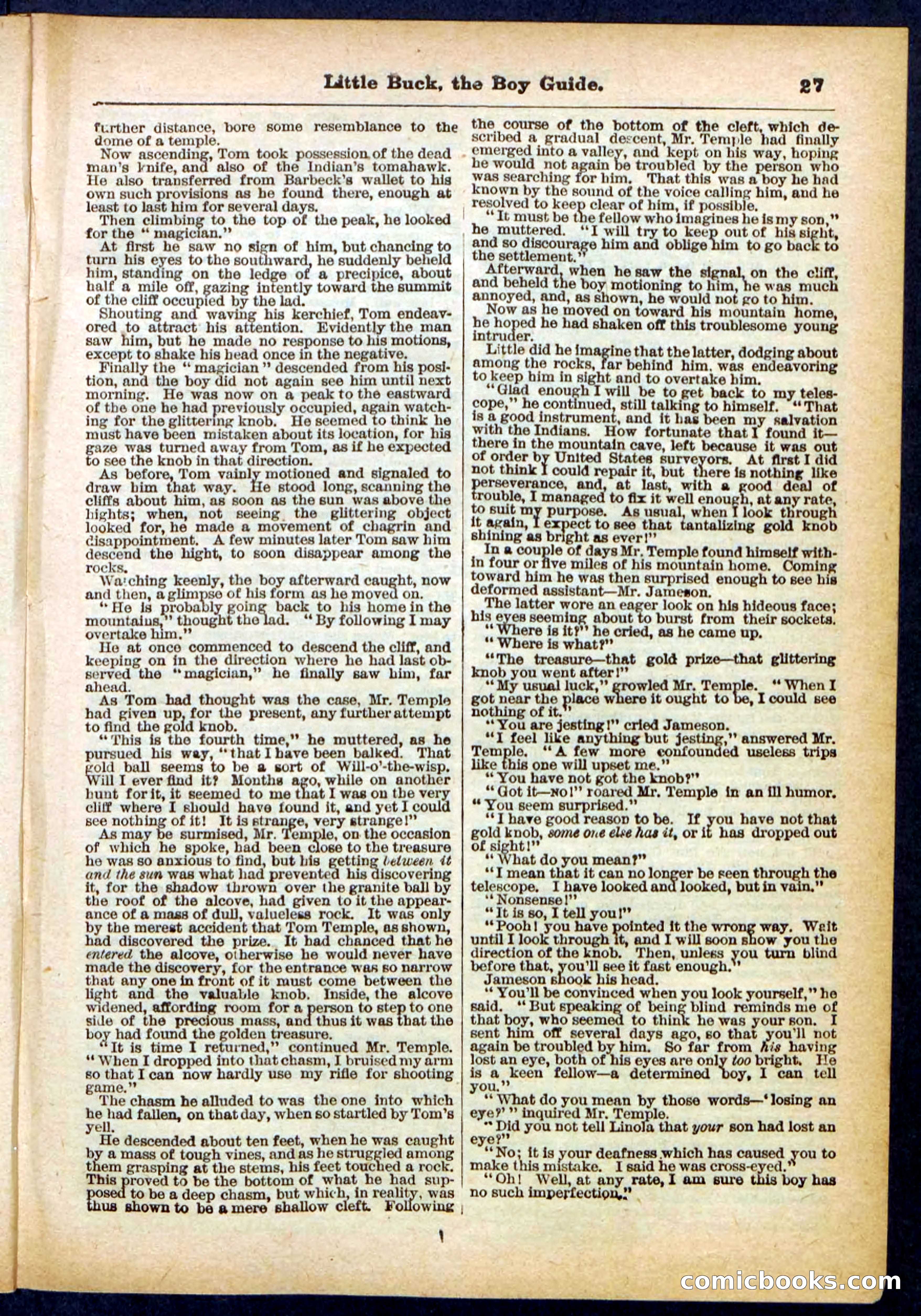 Beadle's Pocket Library No. 394 — page 27 of 32