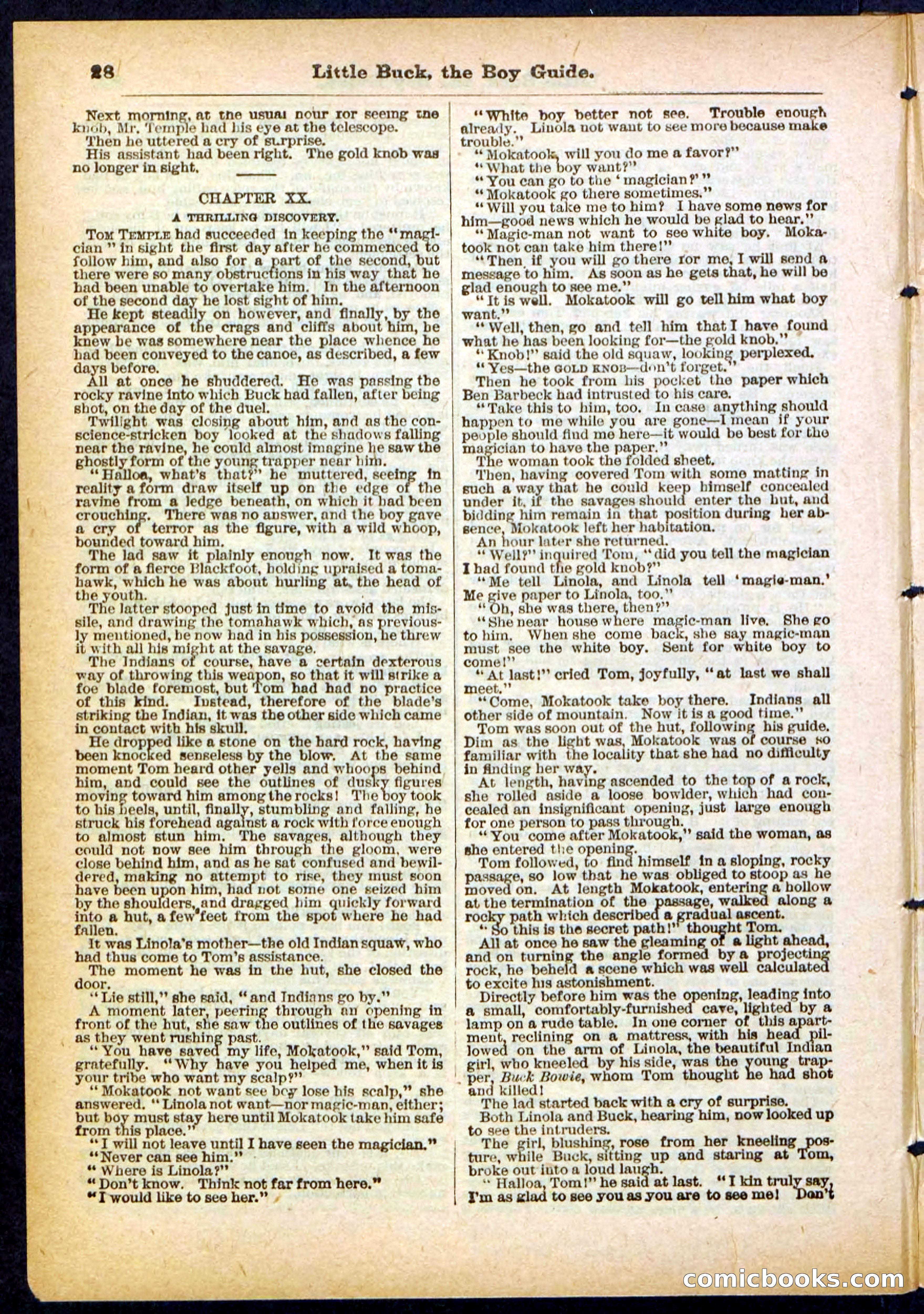 Beadle's Pocket Library No. 394 — page 28 of 32