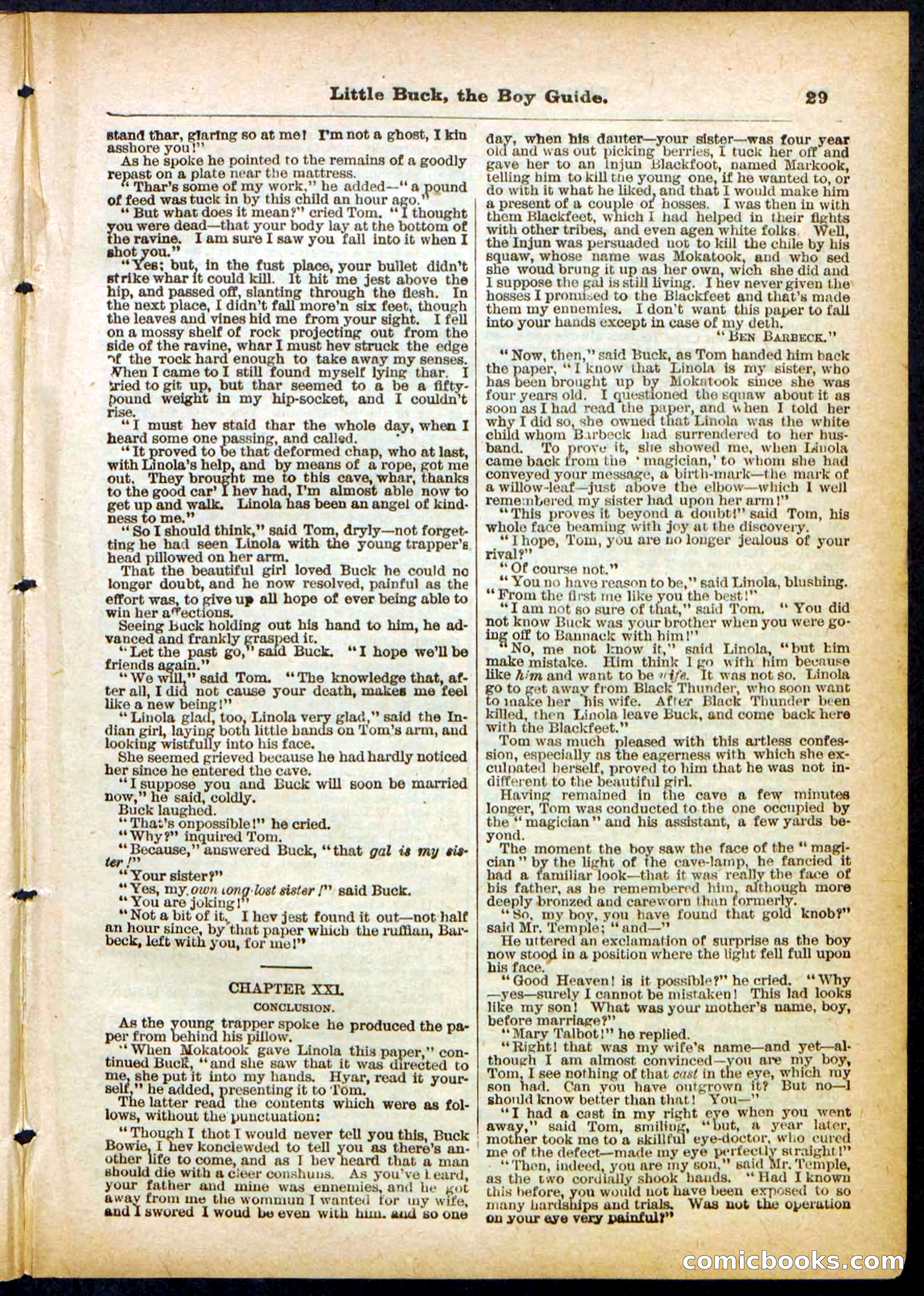 Beadle's Pocket Library No. 394 — page 29 of 32