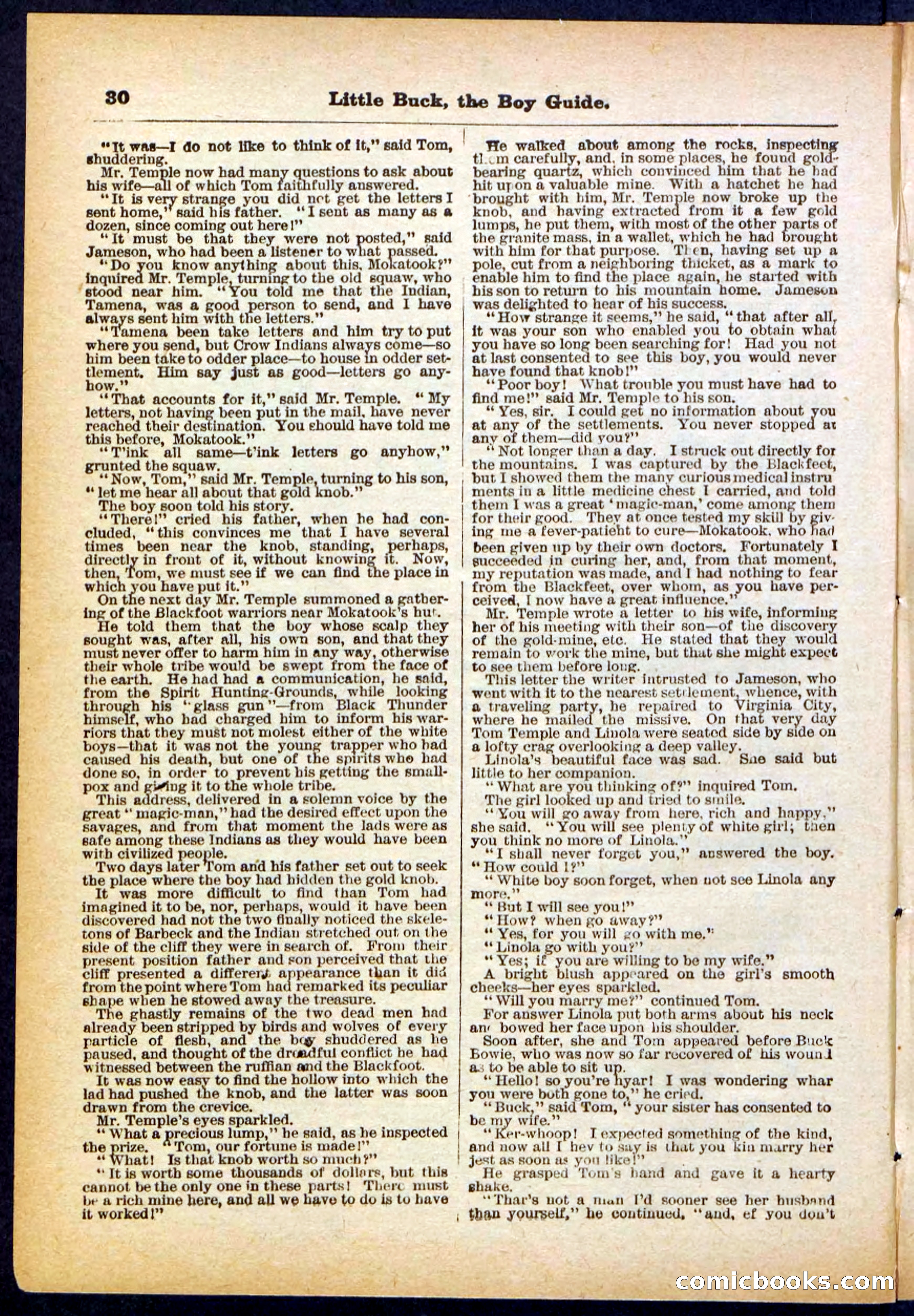 Beadle's Pocket Library No. 394 — page 30 of 32
