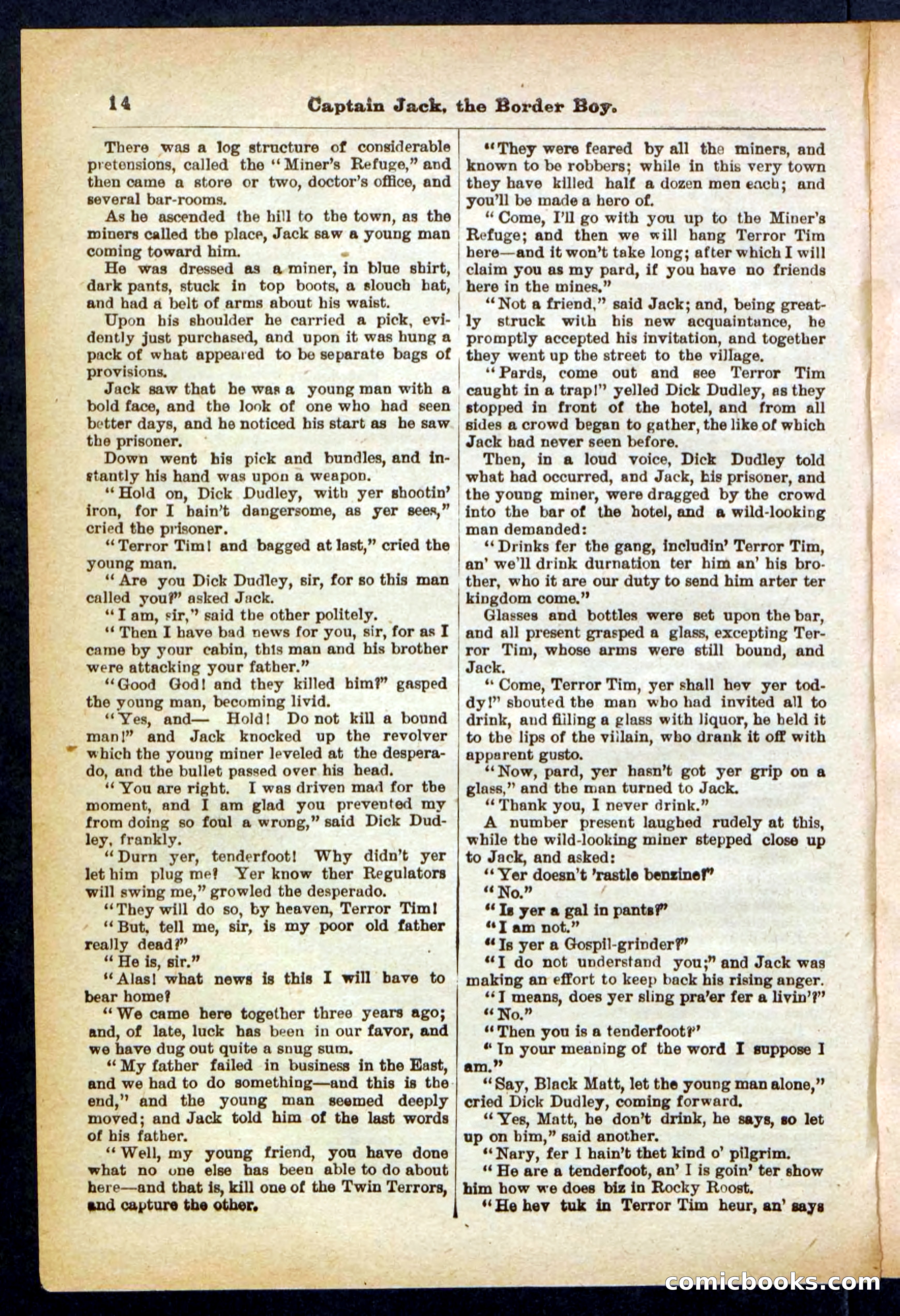Beadle's Pocket Library No. 398 — page 14 of 32