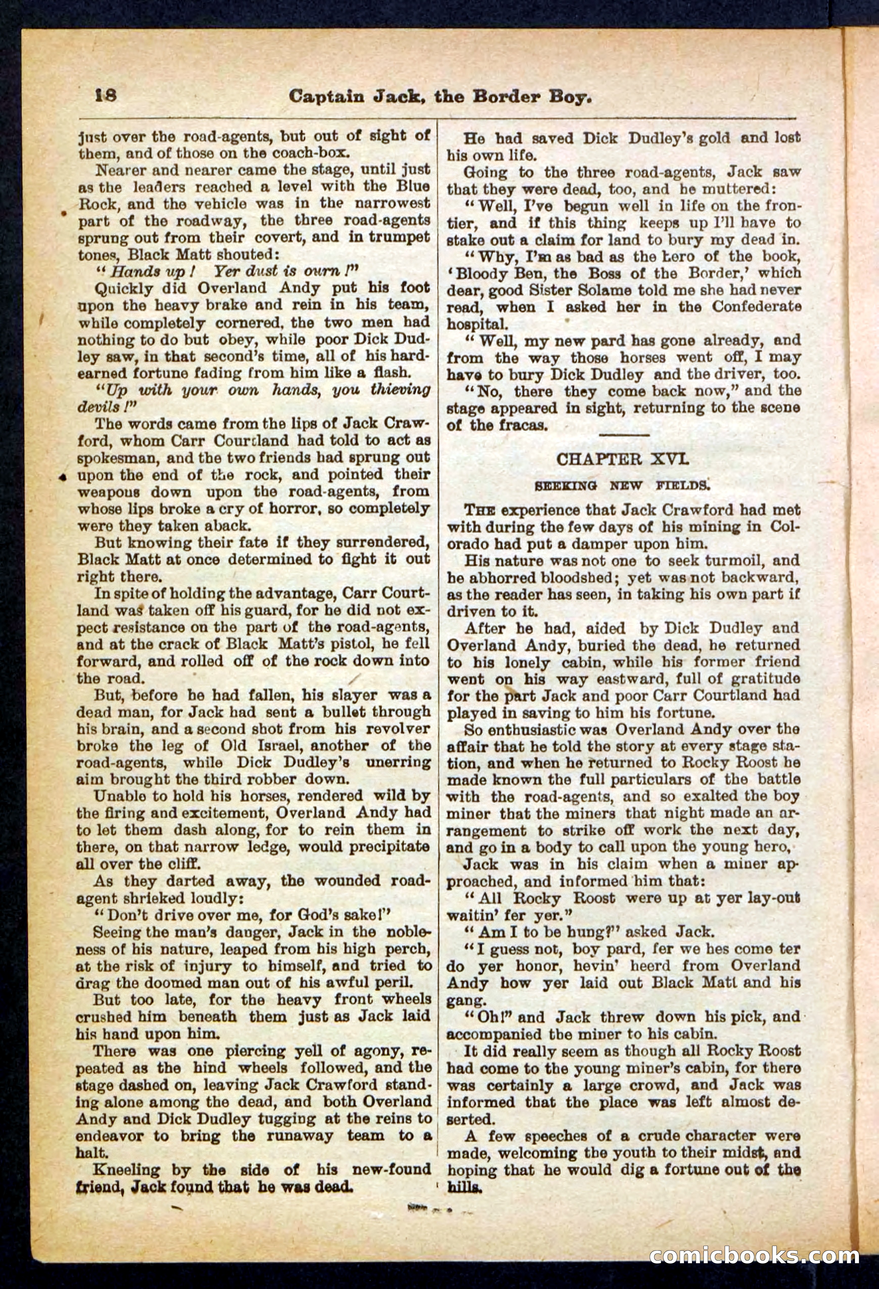 Beadle's Pocket Library No. 398 — page 18 of 32