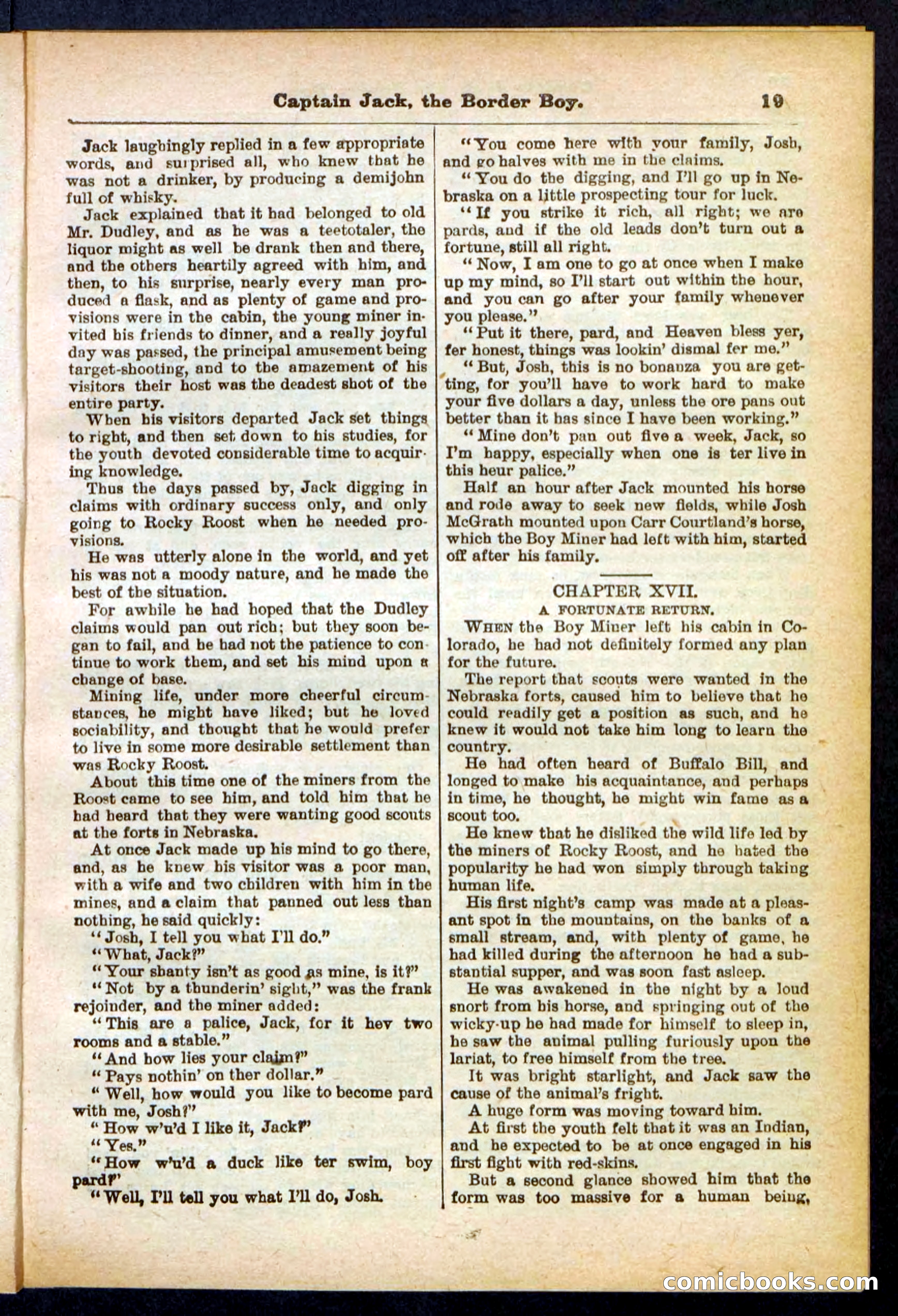 Beadle's Pocket Library No. 398 — page 19 of 32