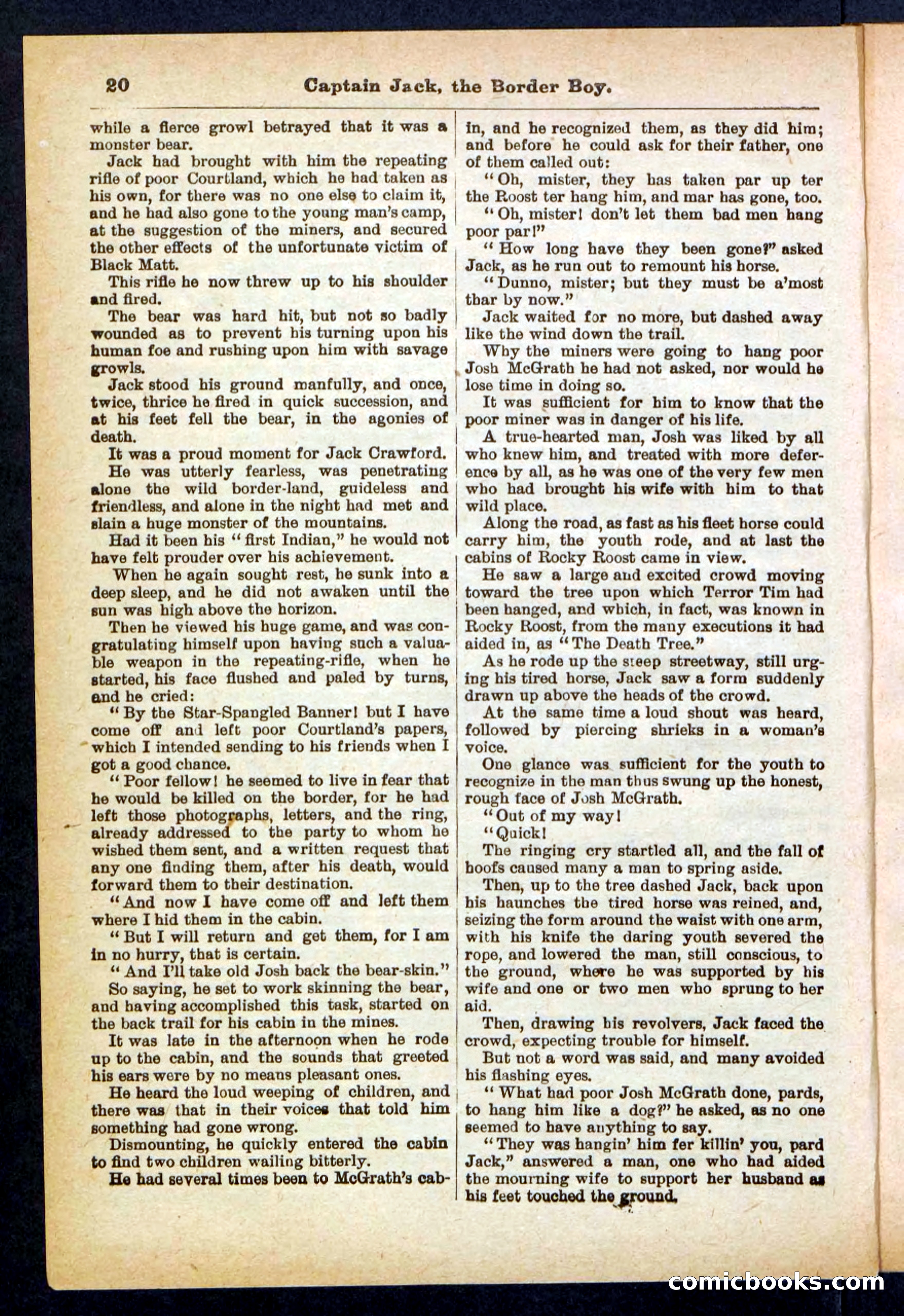 Beadle's Pocket Library No. 398 — page 20 of 32