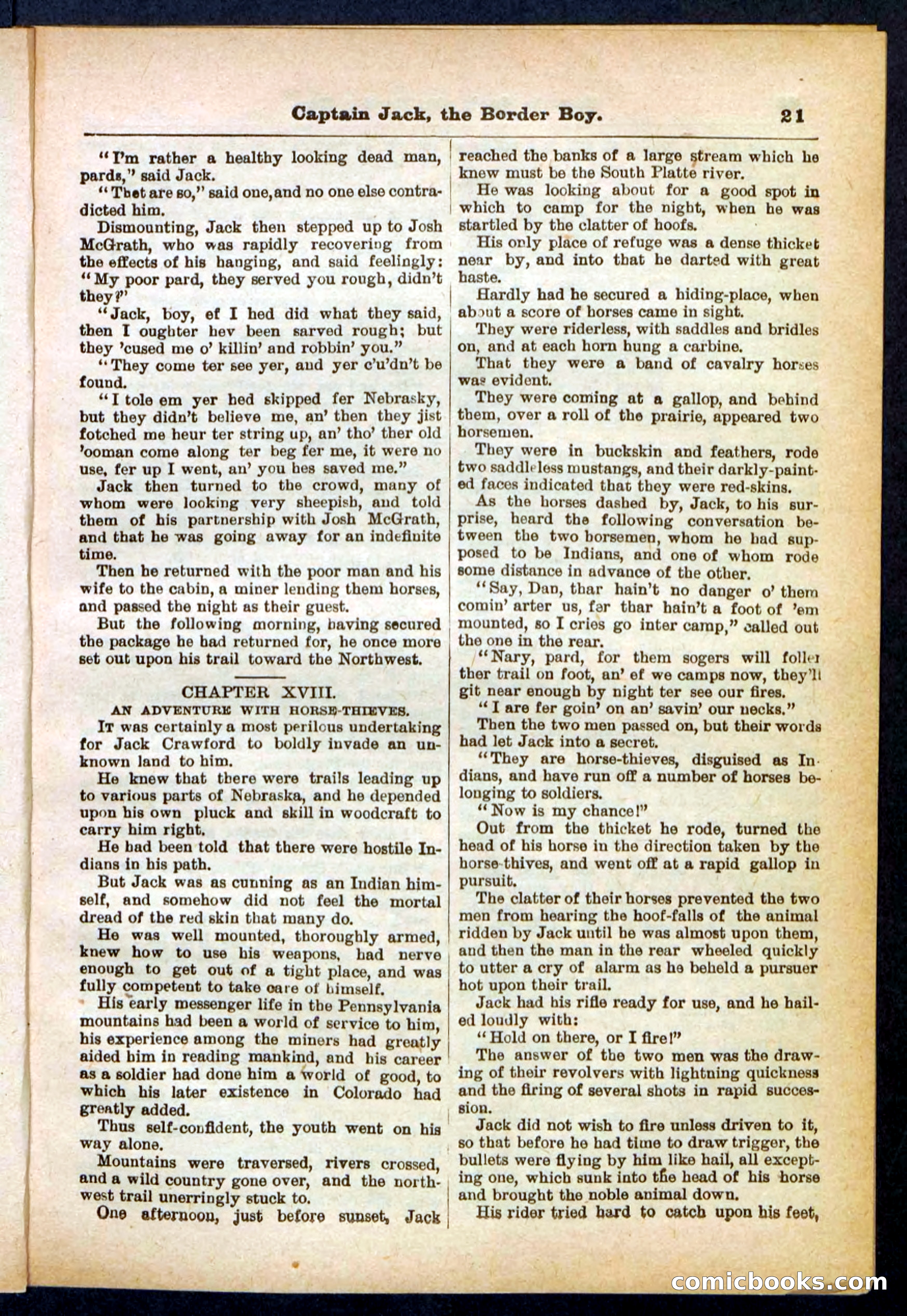 Beadle's Pocket Library No. 398 — page 21 of 32