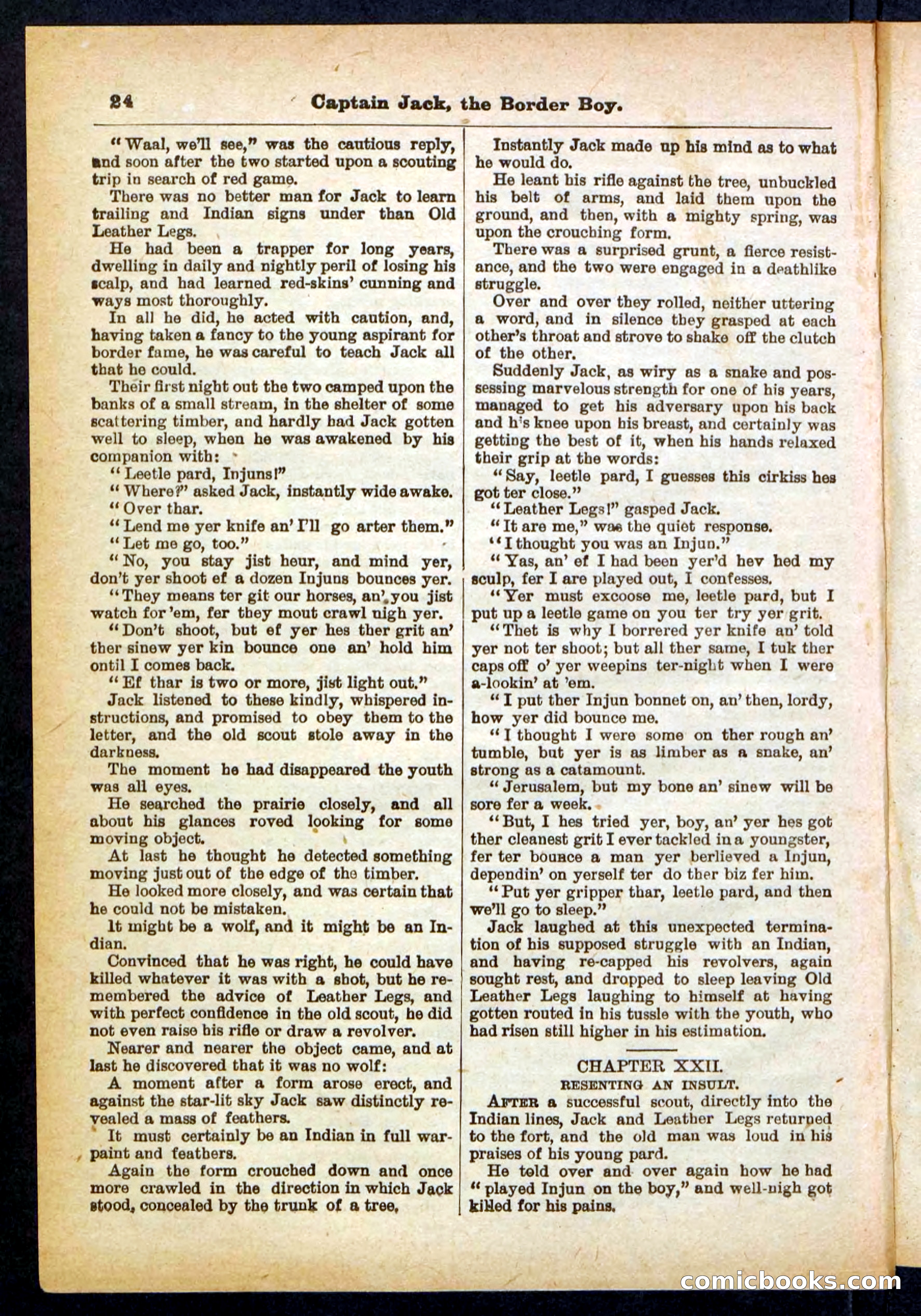 Beadle's Pocket Library No. 398 — page 24 of 32