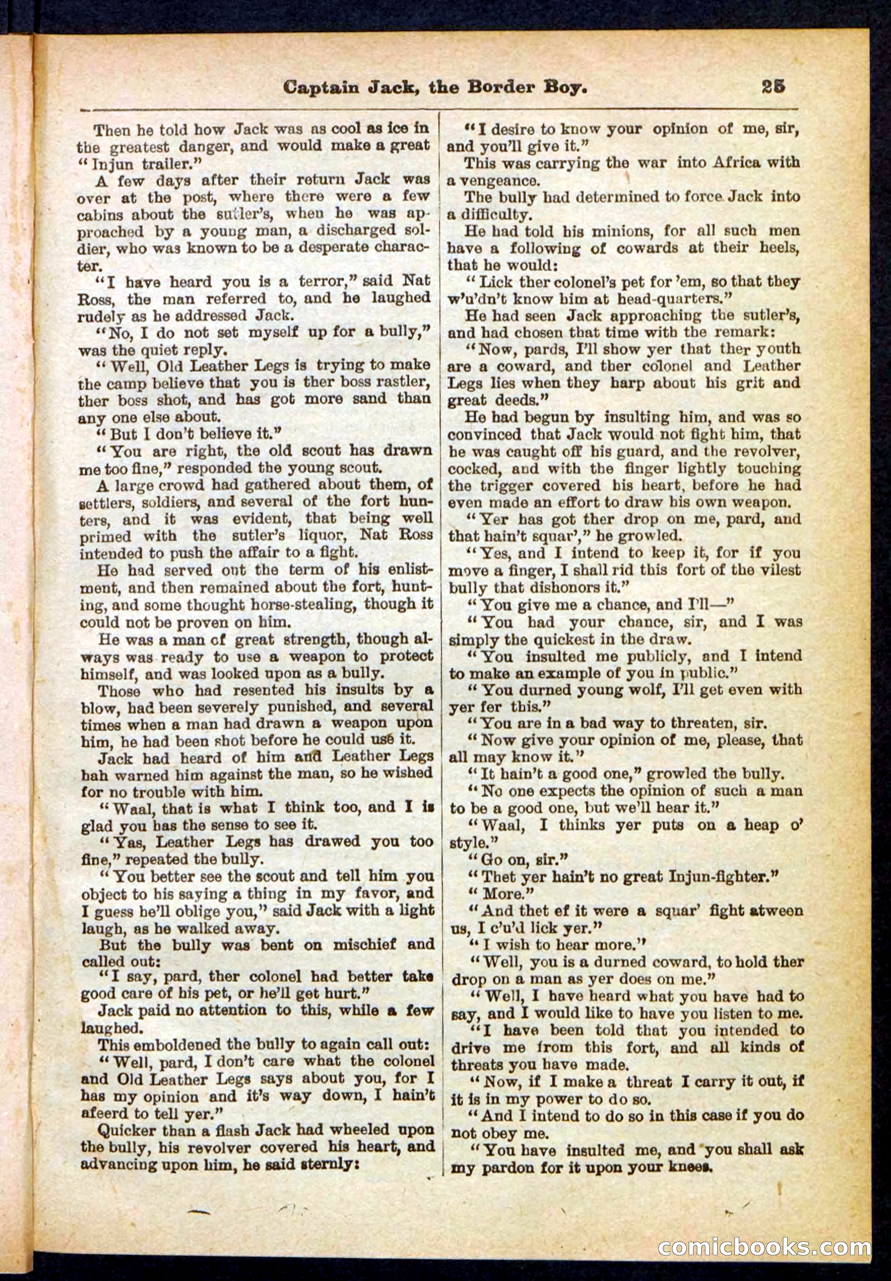 Beadle's Pocket Library No. 398 — page 25 of 32
