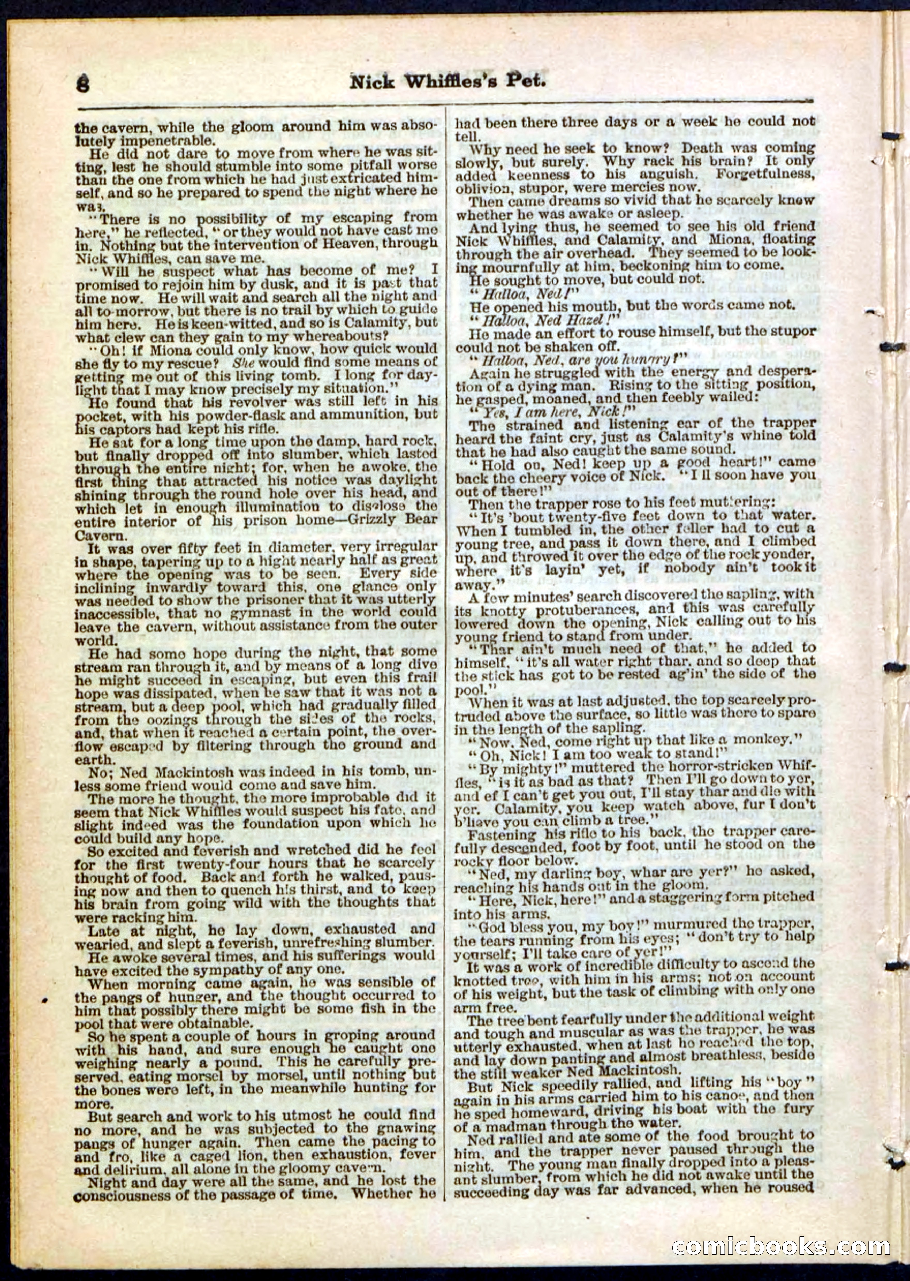 Beadle's Pocket Library, No. 40 — page 8 of 32