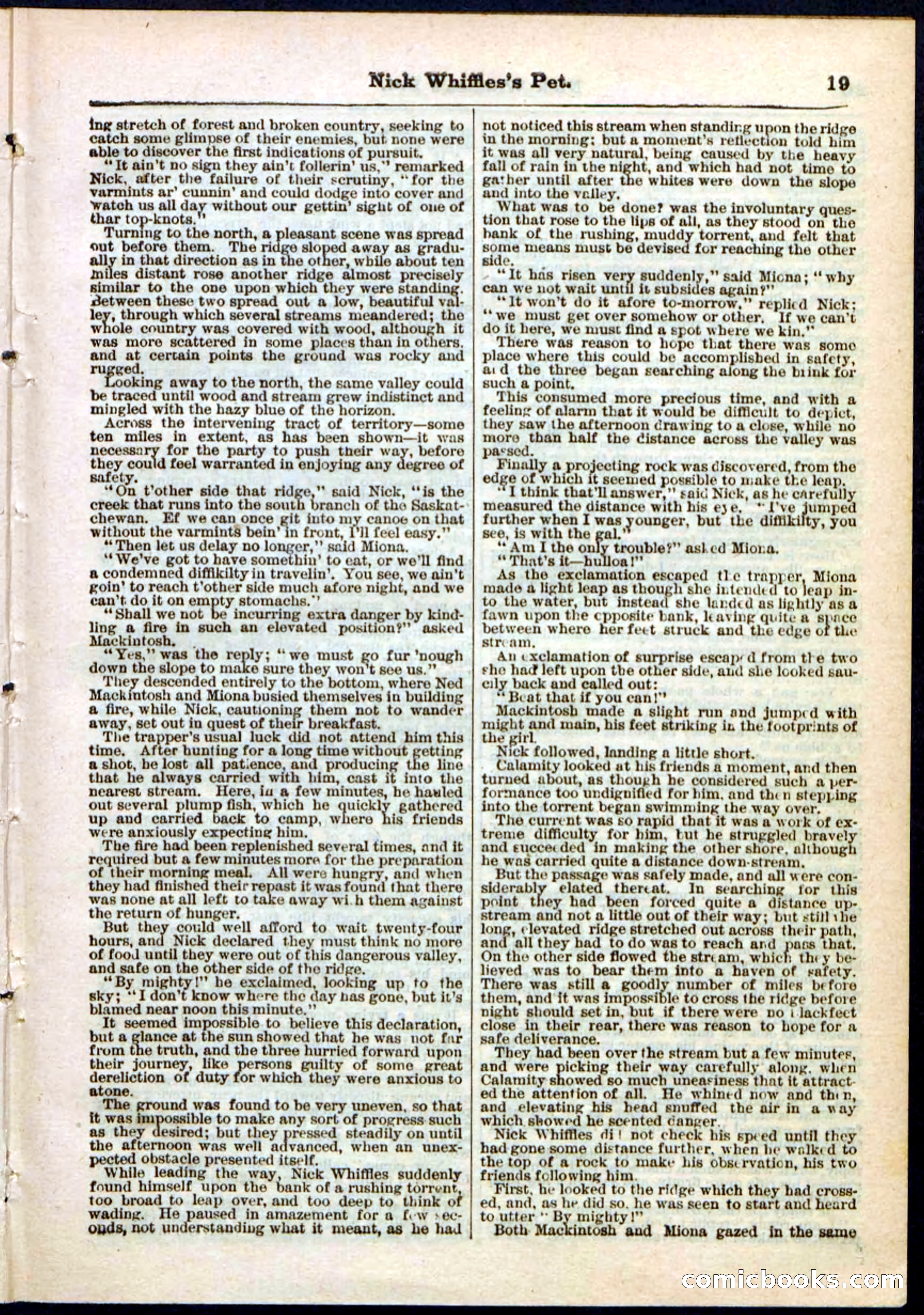 Beadle's Pocket Library, No. 40 — page 19 of 32