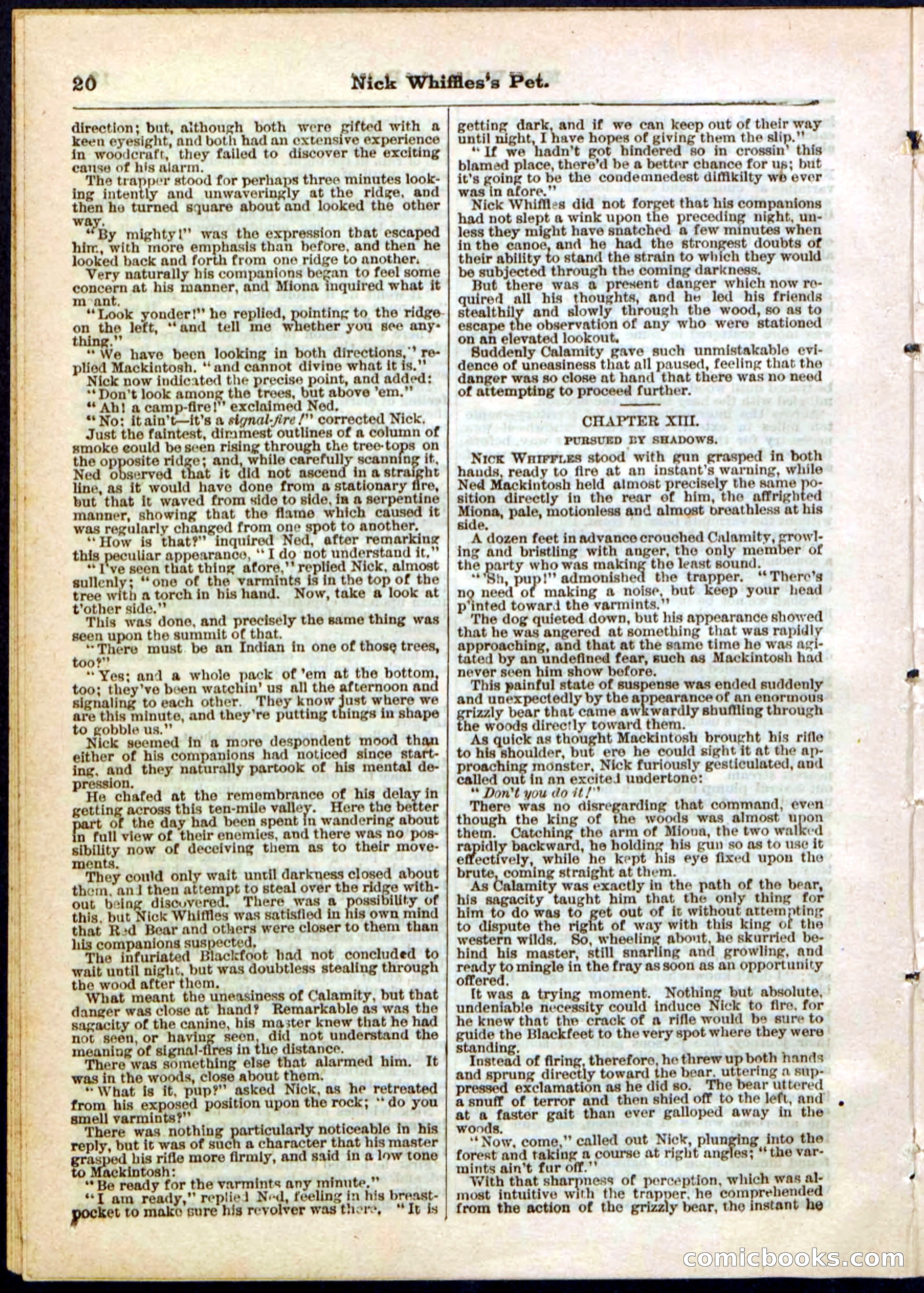 Beadle's Pocket Library, No. 40 — page 20 of 32
