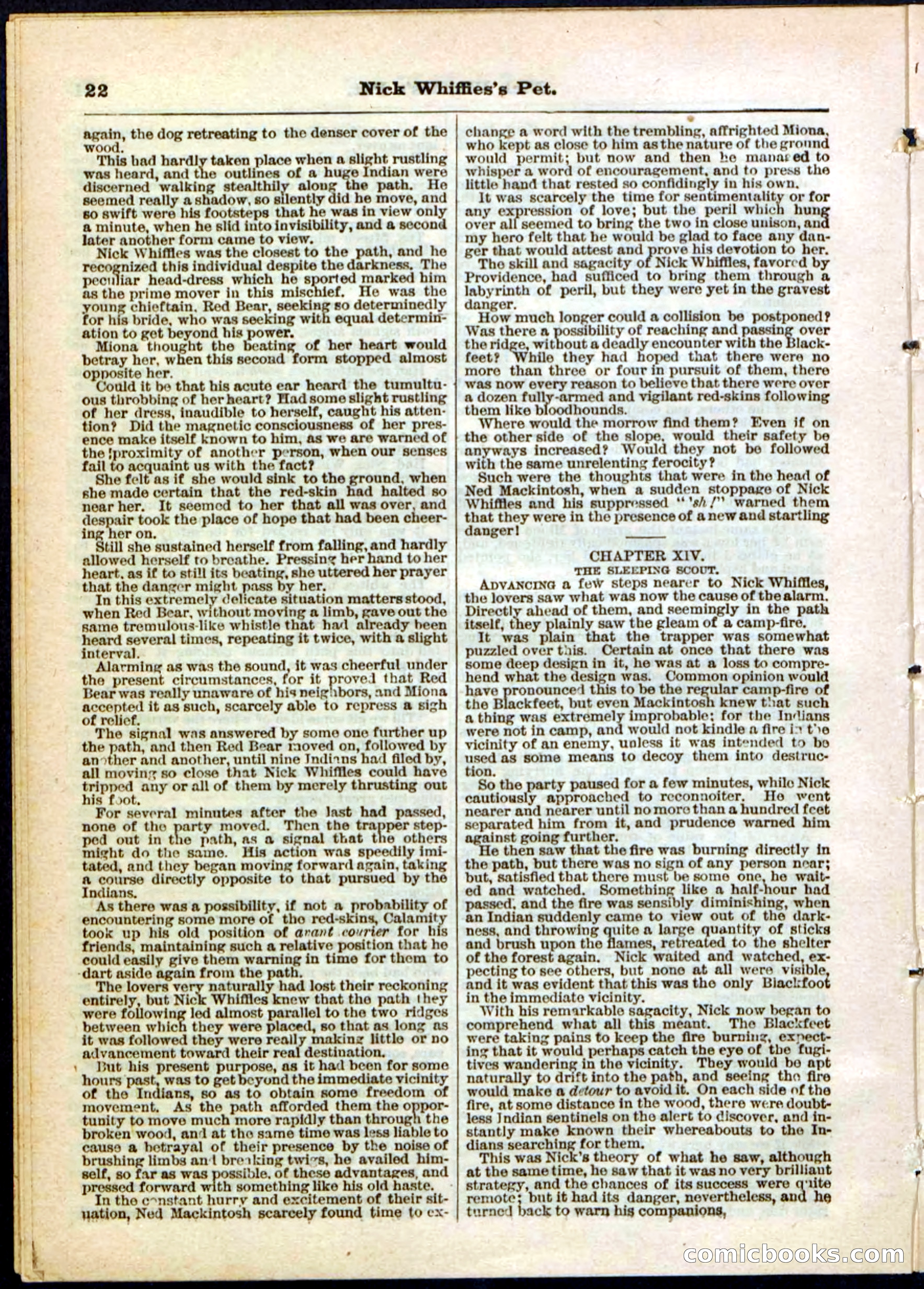 Beadle's Pocket Library, No. 40 — page 22 of 32